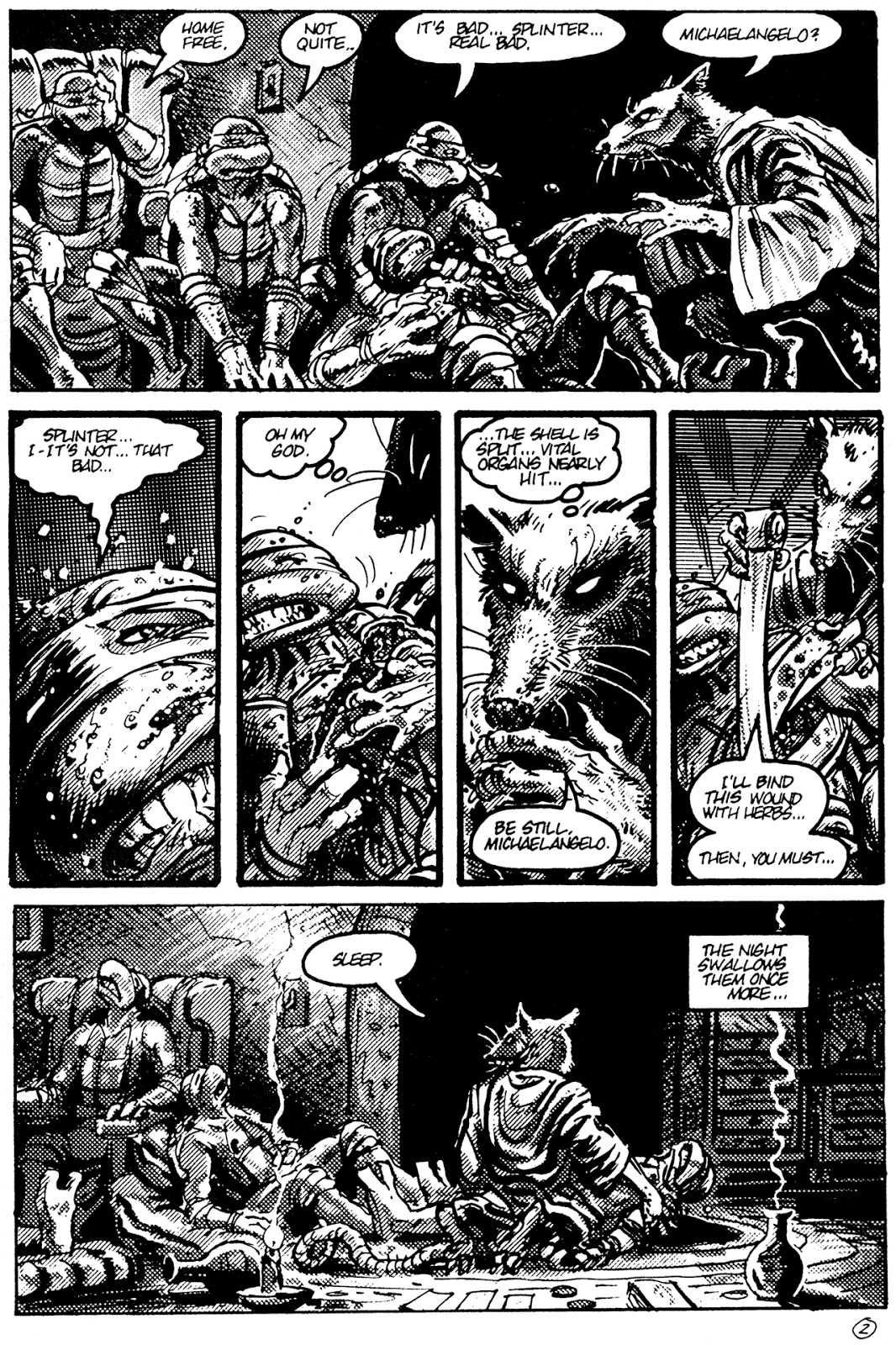 Turtle Soup (1987) issue Full - Page 4