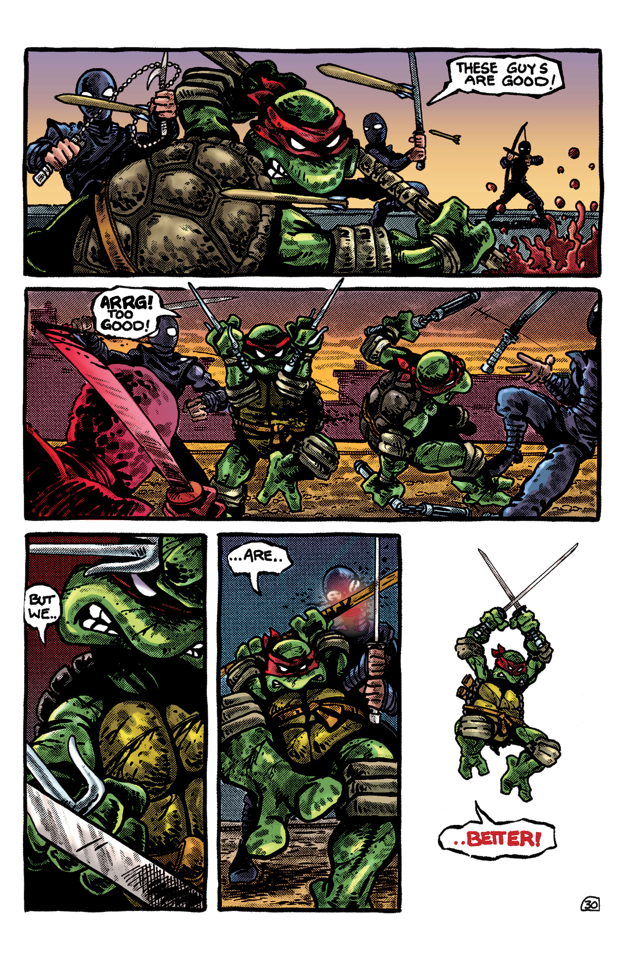 Read online Teenage Mutant Ninja Turtles: Best Of comic -  Issue # Best of Shredder - 30