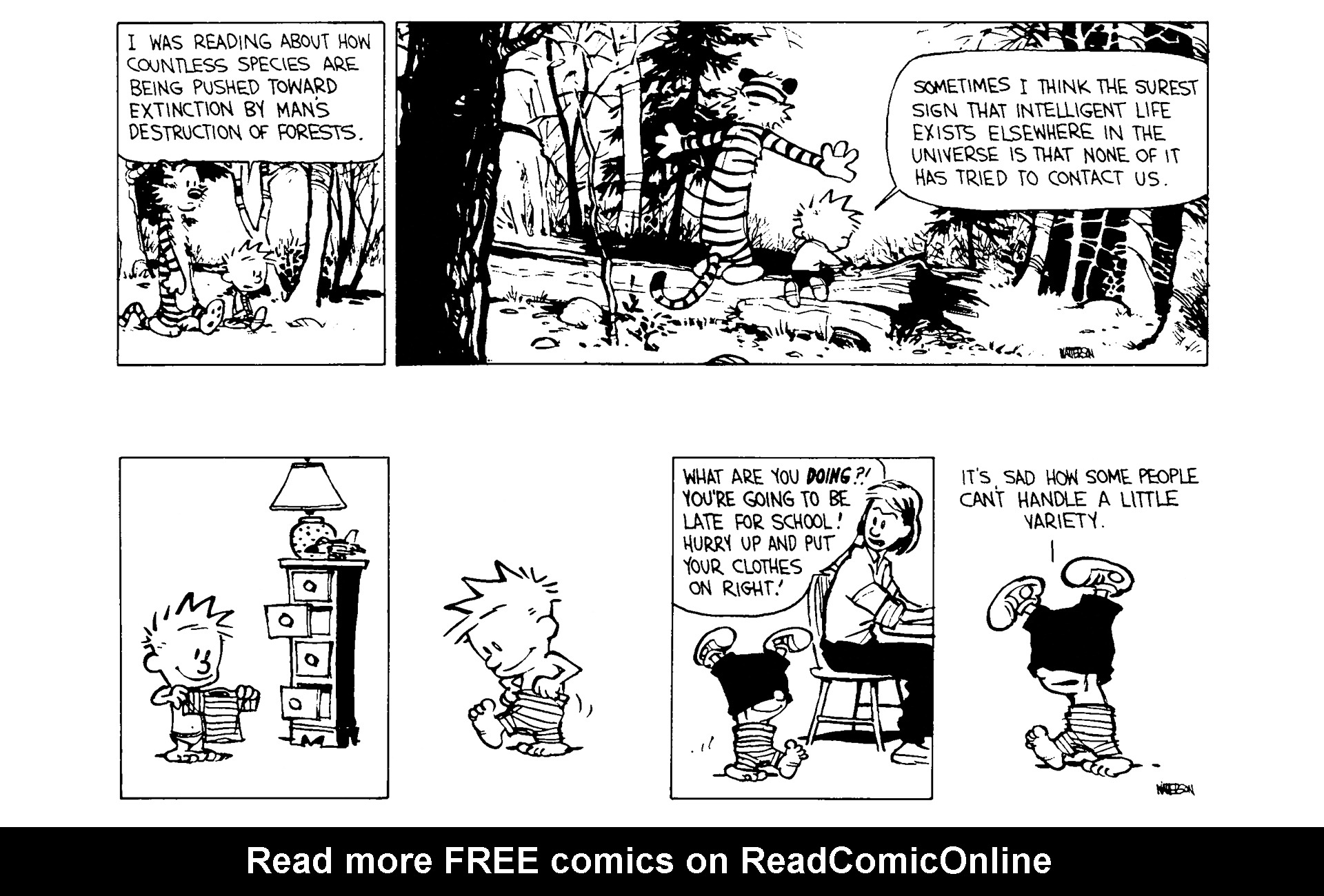 Read online Calvin and Hobbes comic -  Issue #6 - 39