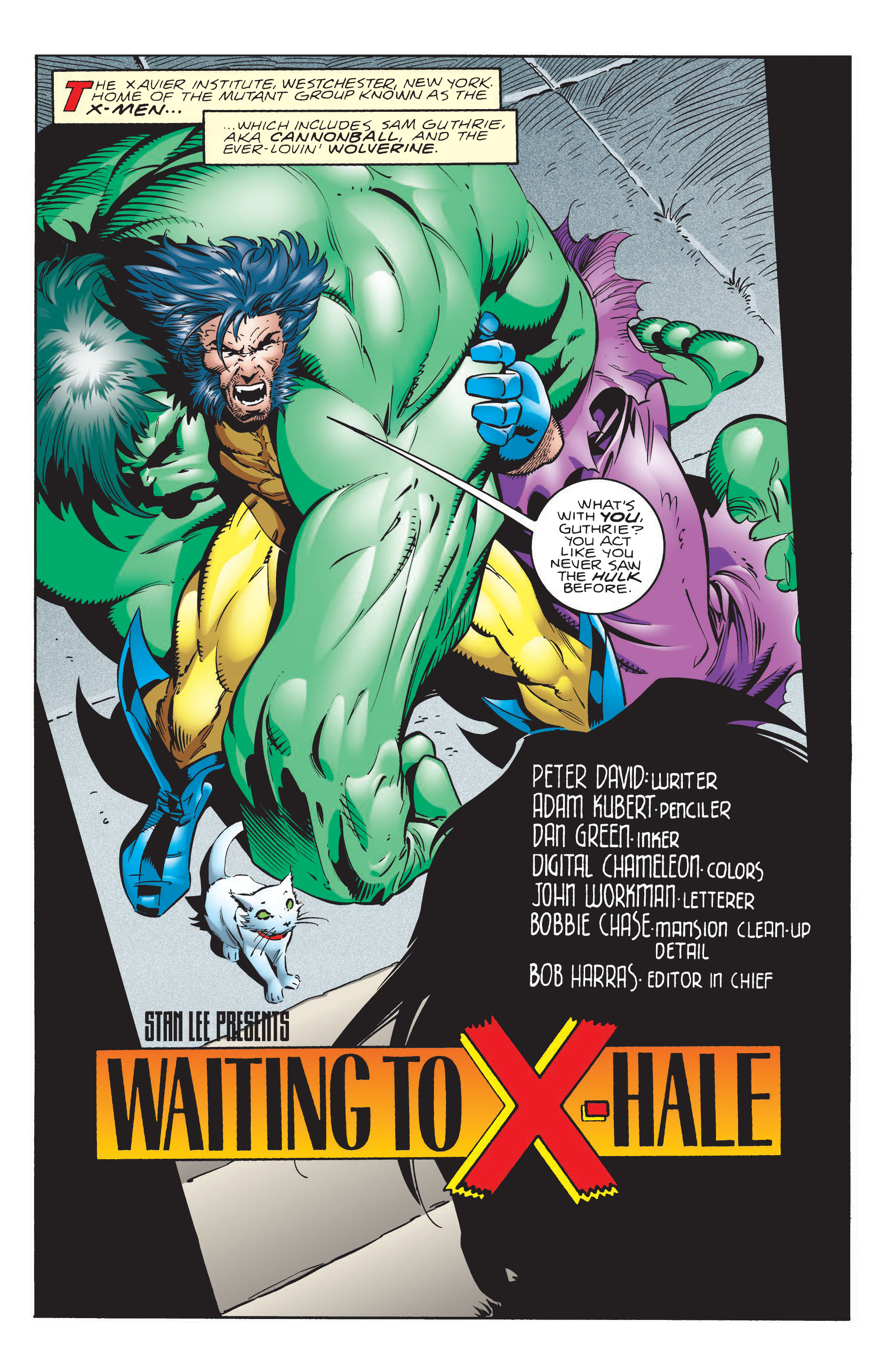 Read online Incredible Hulk By Peter David Omnibus comic -  Issue # TPB 4 (Part 8) - 12