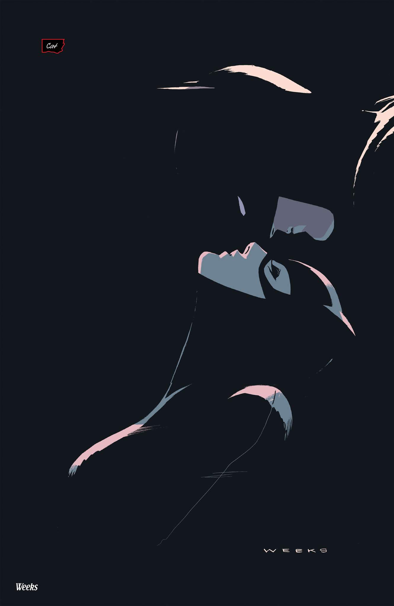 Read online Batman/Catwoman: The Wedding Album: The Deluxe Edition comic -  Issue # TPB - 85