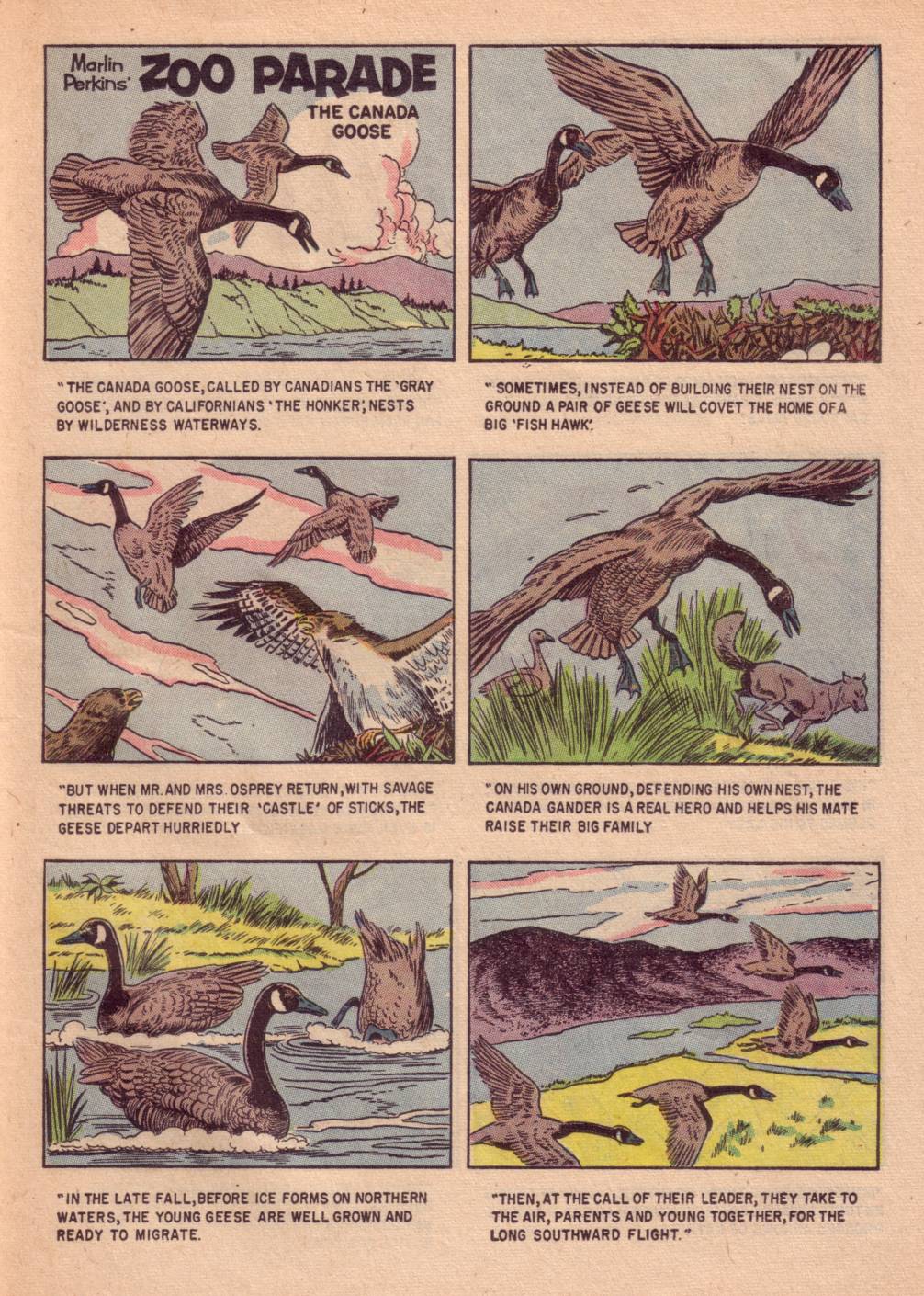 Read online Four Color Comics comic -  Issue #662 - 23