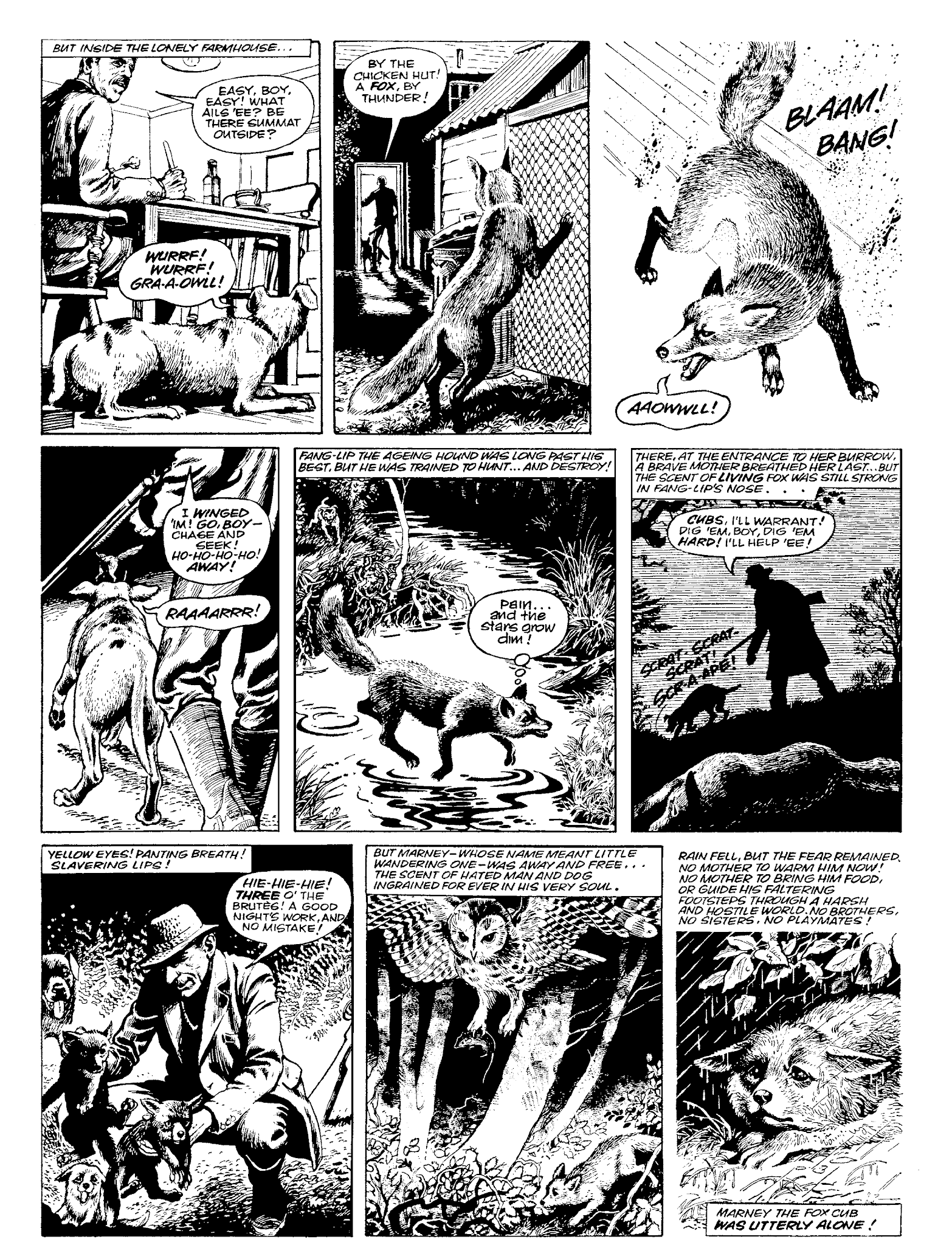 Read online Marney the Fox comic -  Issue # TPB (Part 1) - 6