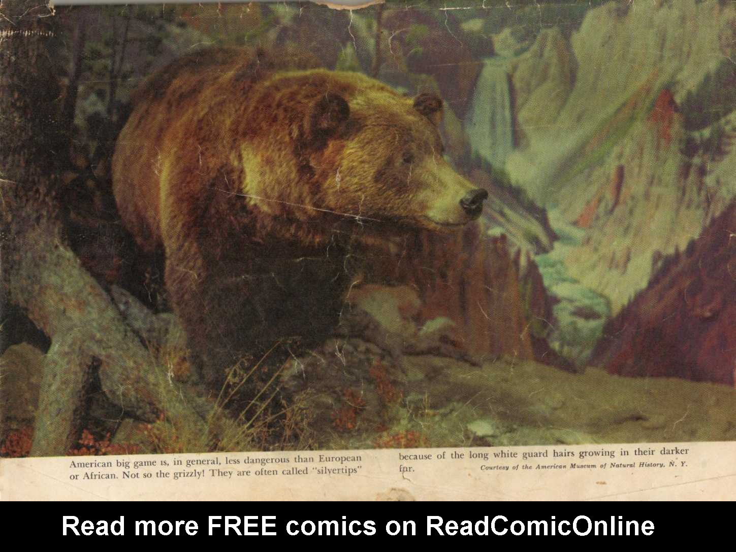 Read online Four Color Comics comic -  Issue #333 - 52