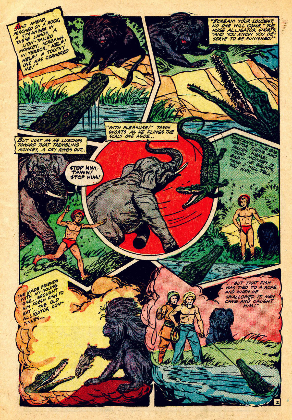 Read online Wambi Jungle Boy comic -  Issue #13 - 5