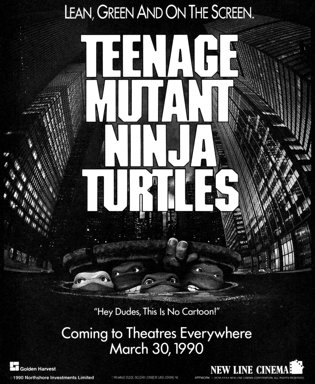 Teenage Mutant Ninja Turtles (1984) Issue #27 #27 - English 40