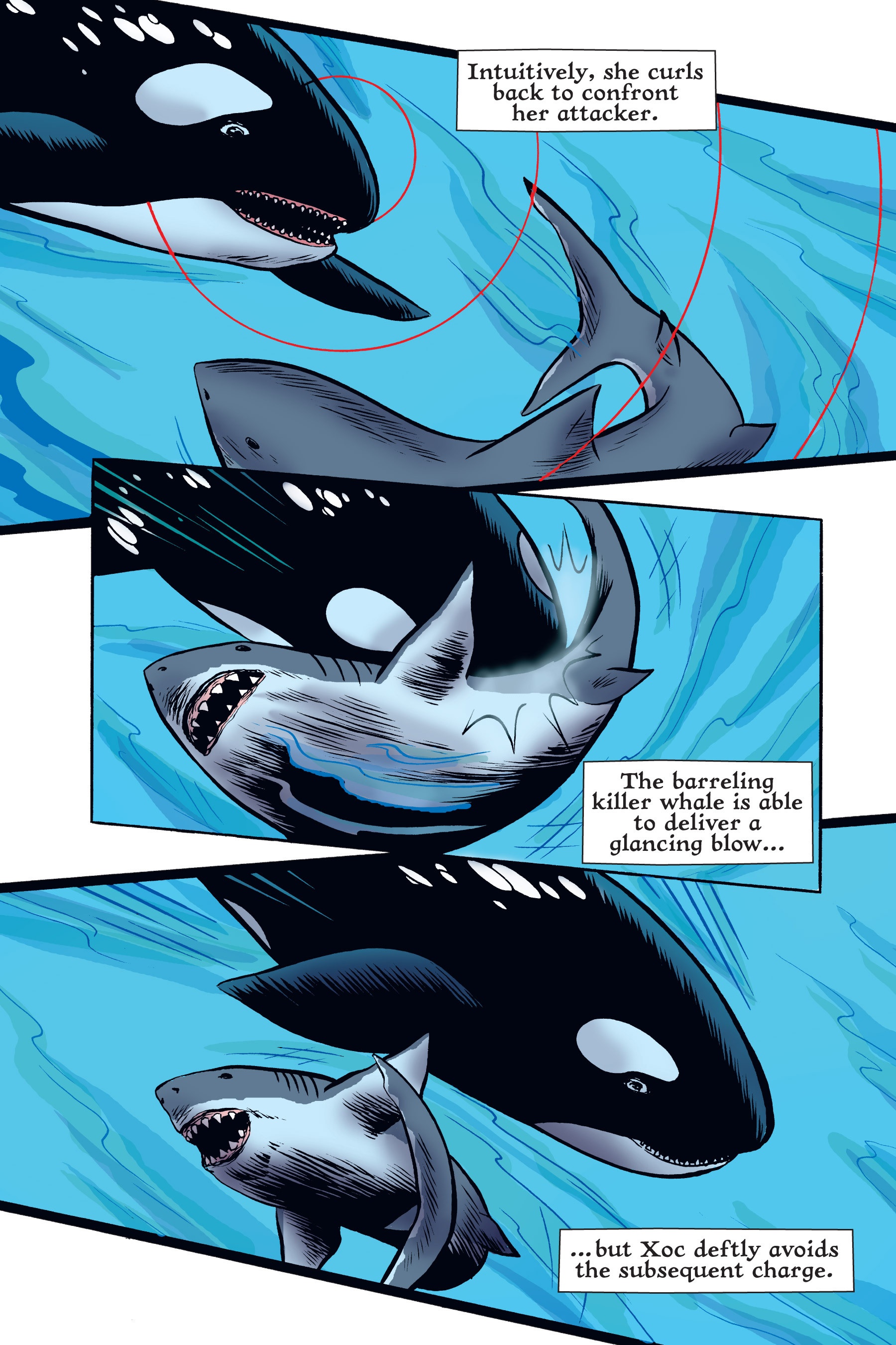 Read online Xoc: Journey of a Great White comic -  Issue # TPB - 118