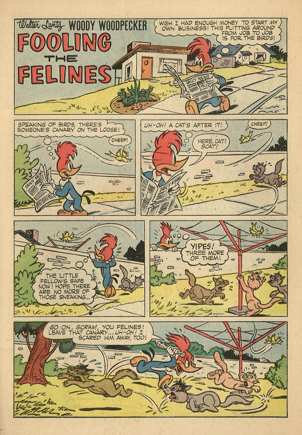 Read online Walter Lantz Woody Woodpecker (1952) comic -  Issue #65 - 27