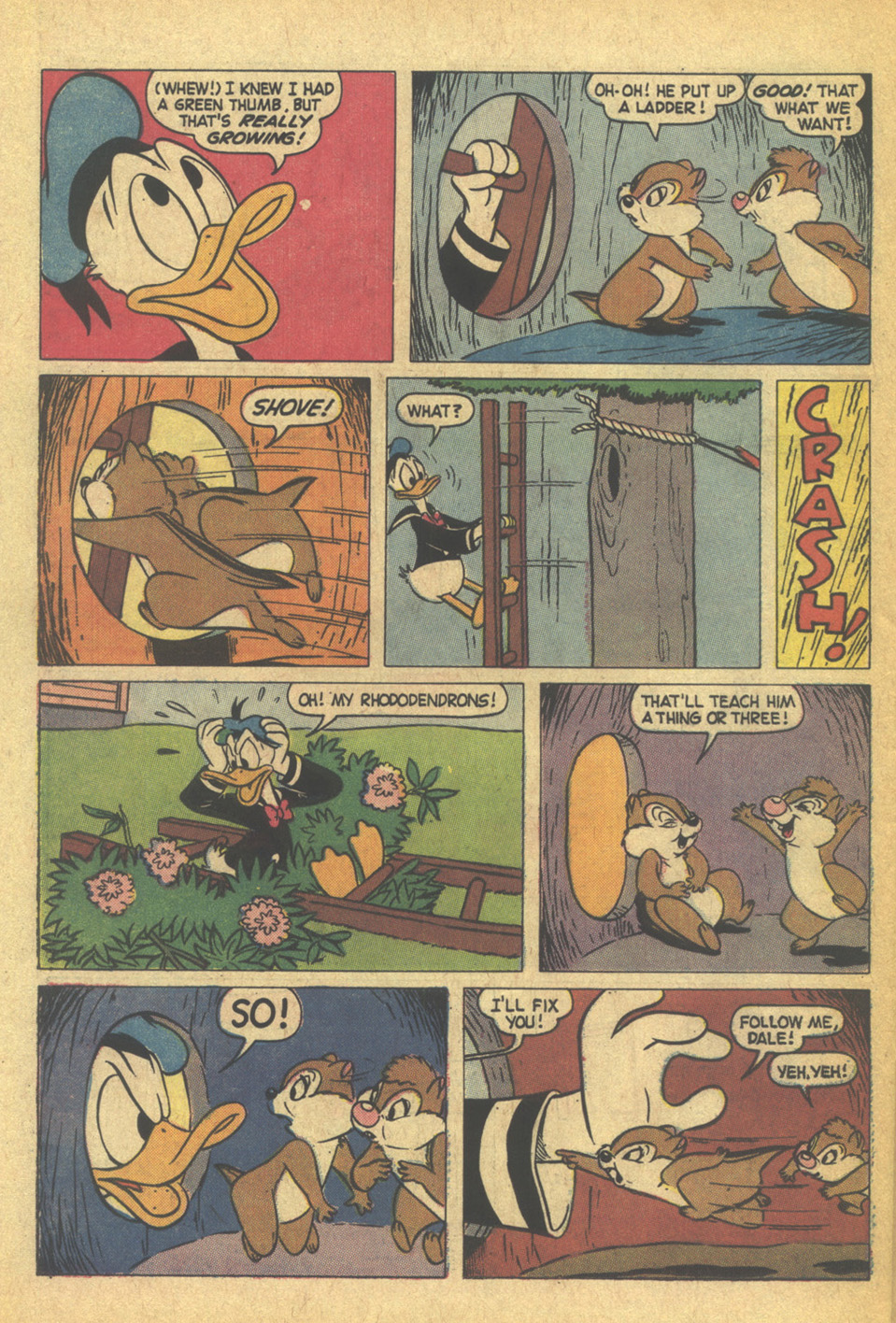 Read online Walt Disney Chip 'n' Dale comic -  Issue #12 - 25