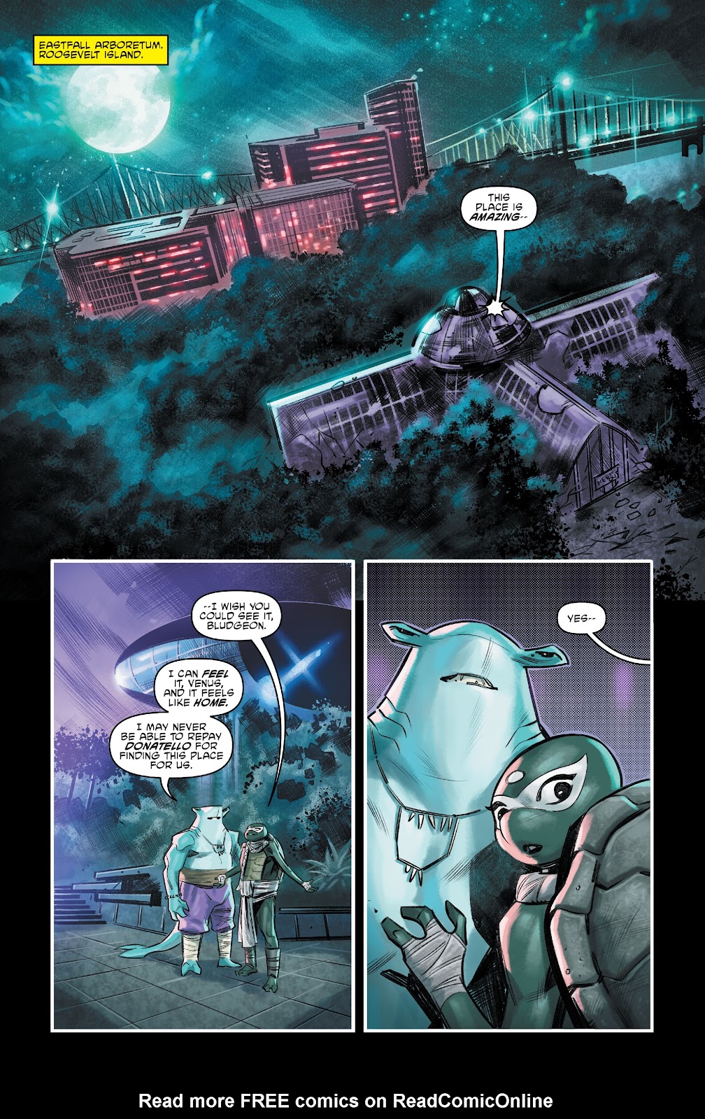 Teenage Mutant Ninja Turtles: The Armageddon Game - The Alliance issue 4 - Page 21