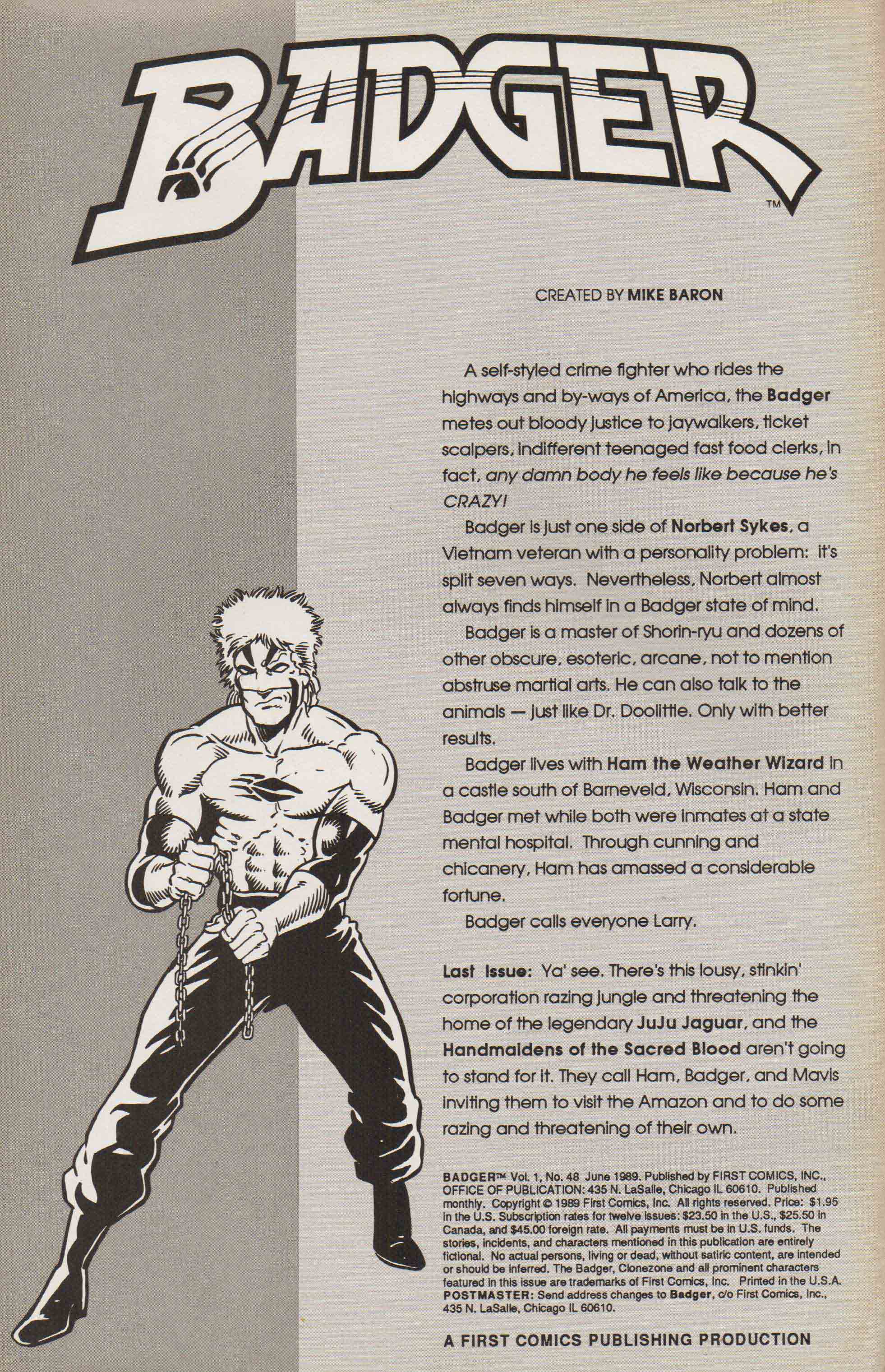 Read online The Badger comic -  Issue #48 - 2