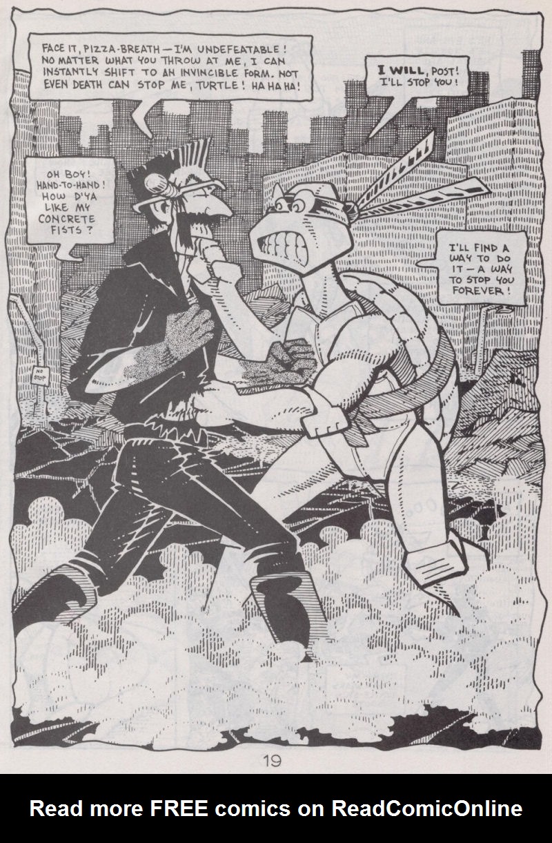 Teenage Mutant Ninja Turtles (1984) Issue #41 #41 - English 20