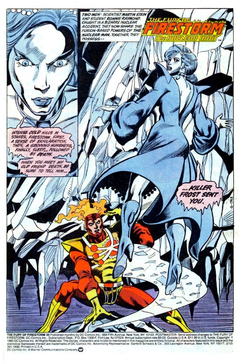 The Fury of Firestorm Issue #35 #39 - English 2