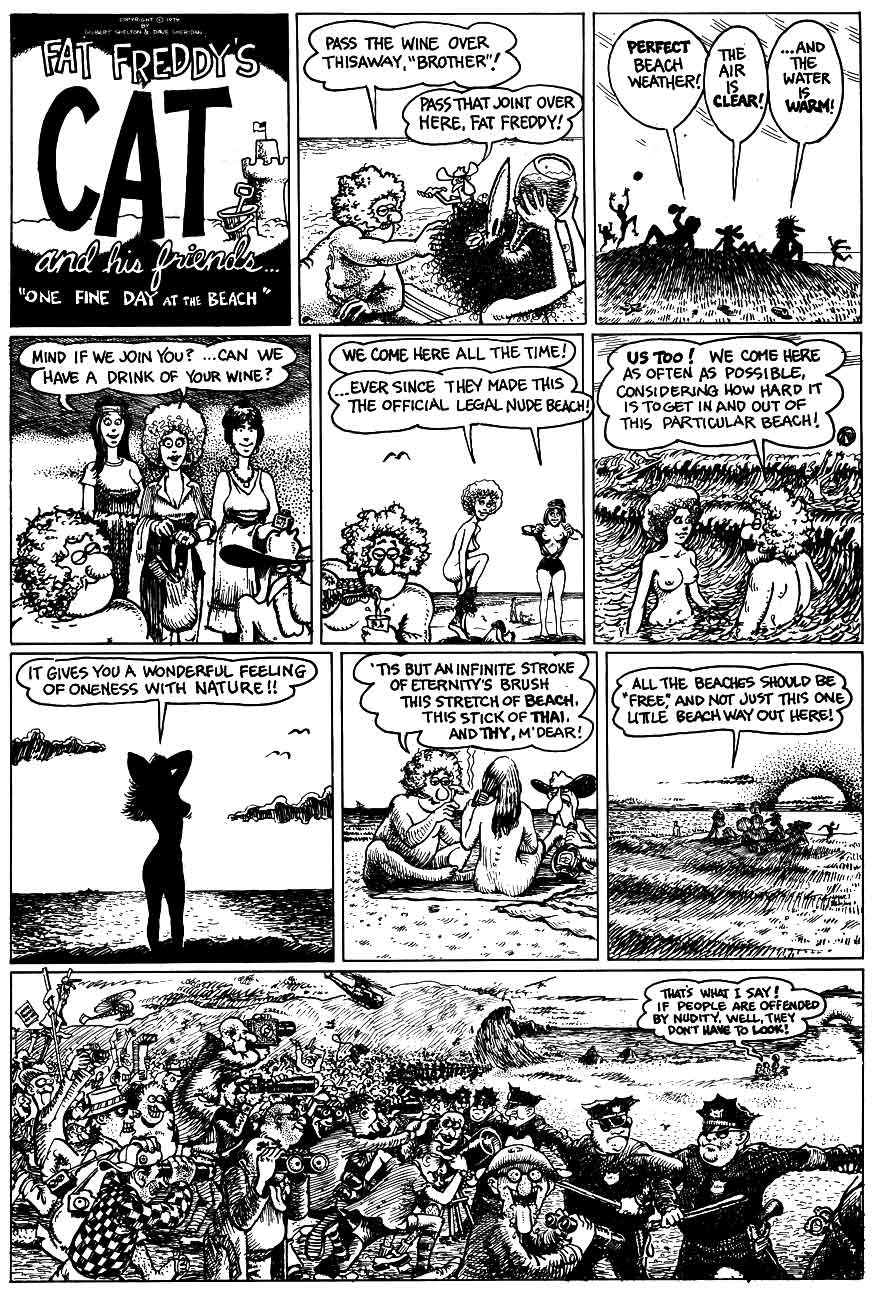 The Fabulous Furry Freak Brothers issue 4 - Page 45