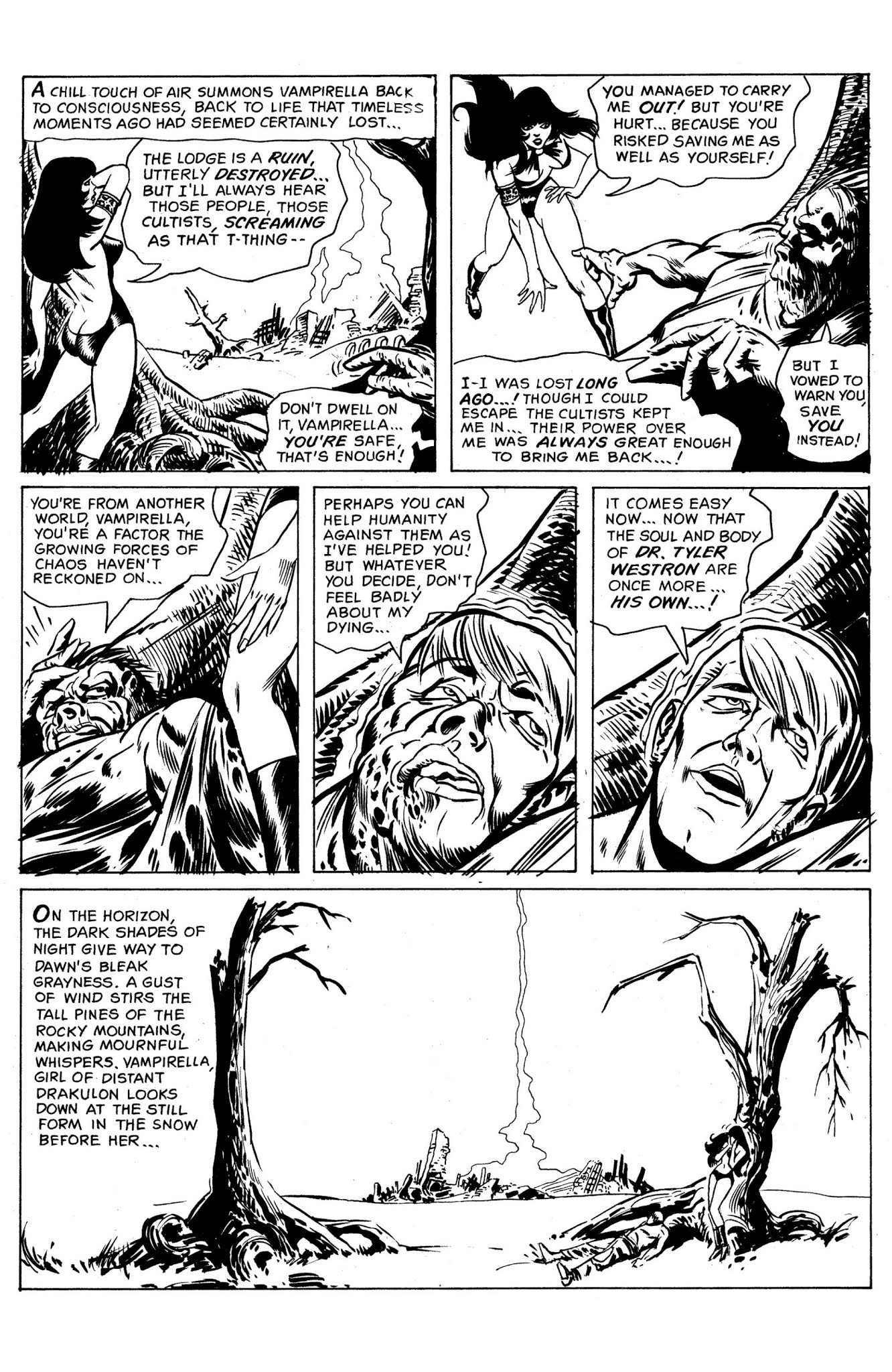 Read online Vampirella: The Essential Warren Years comic -  Issue # TPB (Part 1) - 38