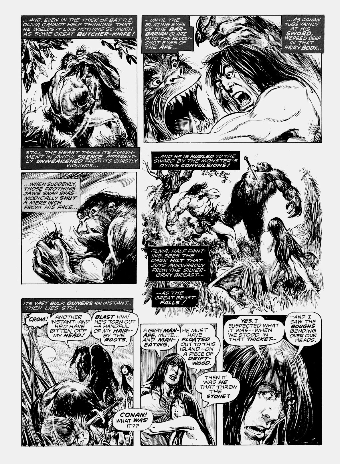 Read online Conan Saga comic -  Issue #13 - 45
