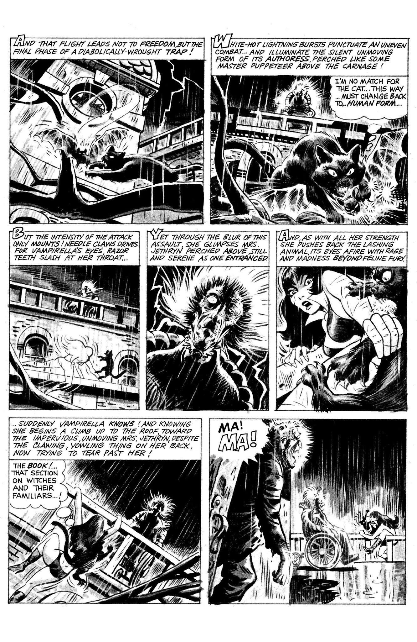 Read online Vampirella: The Essential Warren Years comic -  Issue # TPB (Part 1) - 49
