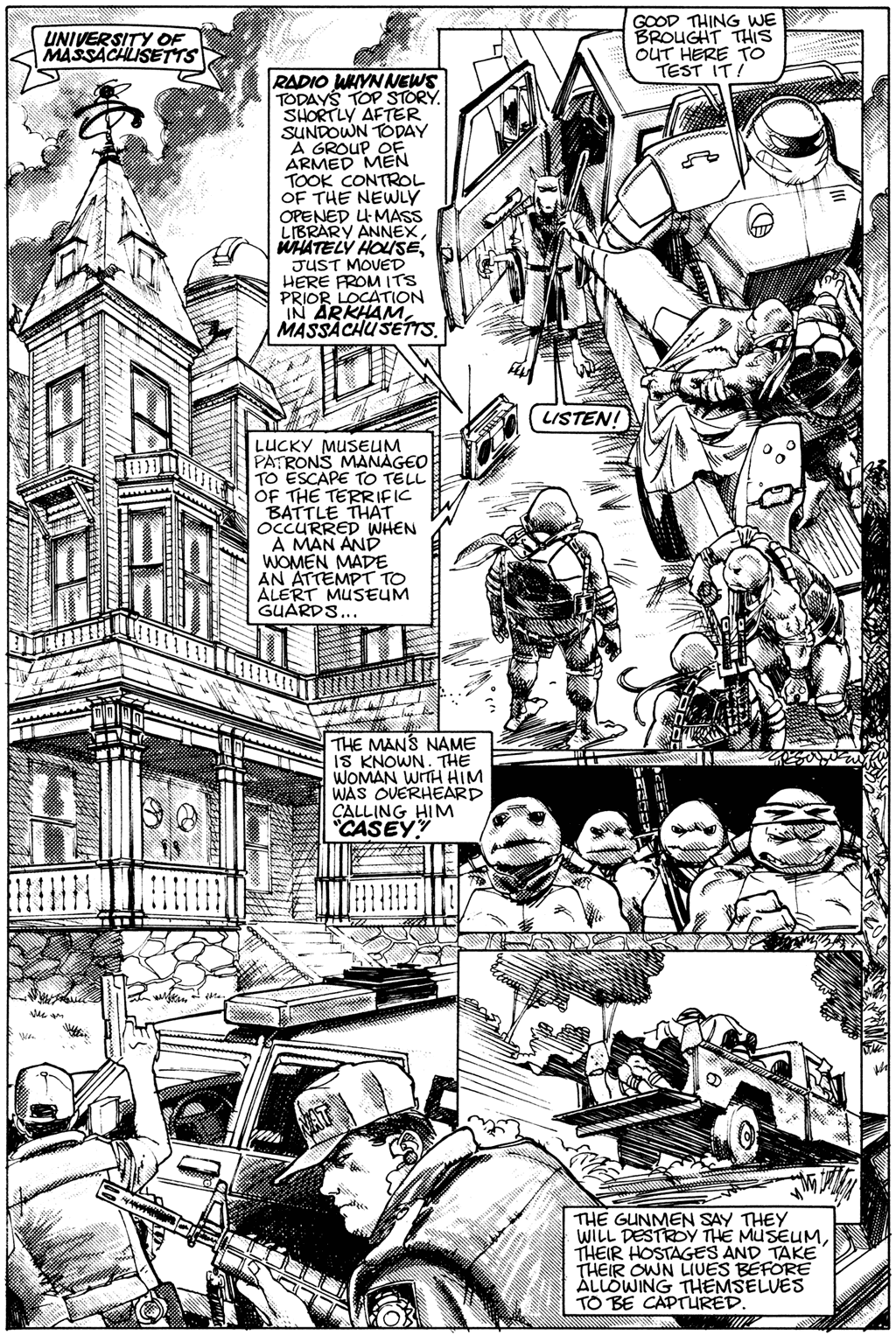 Teenage Mutant Ninja Turtles (1984) Issue #29 #29 - English 10