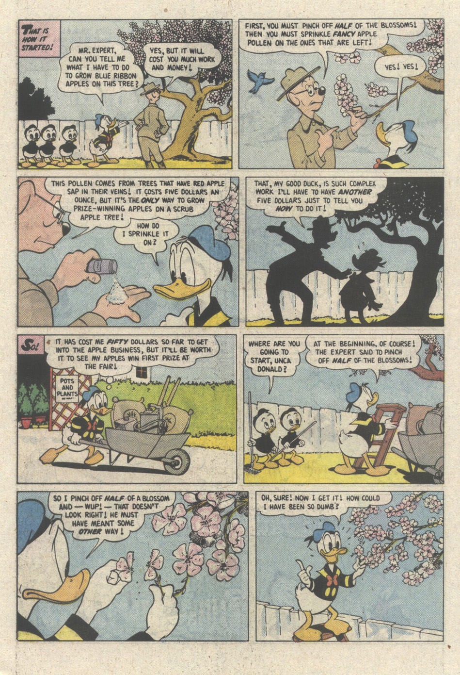 Read online Walt Disney's Donald Duck (1952) comic -  Issue #269 - 5