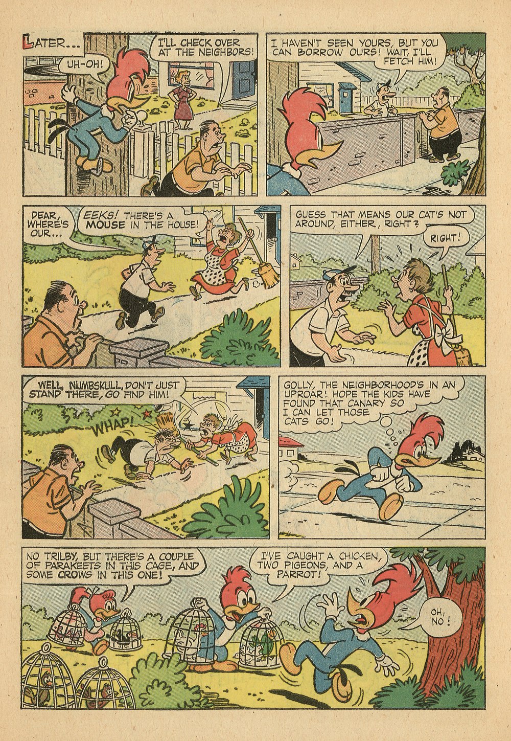 Read online Walter Lantz Woody Woodpecker (1952) comic -  Issue #65 - 30