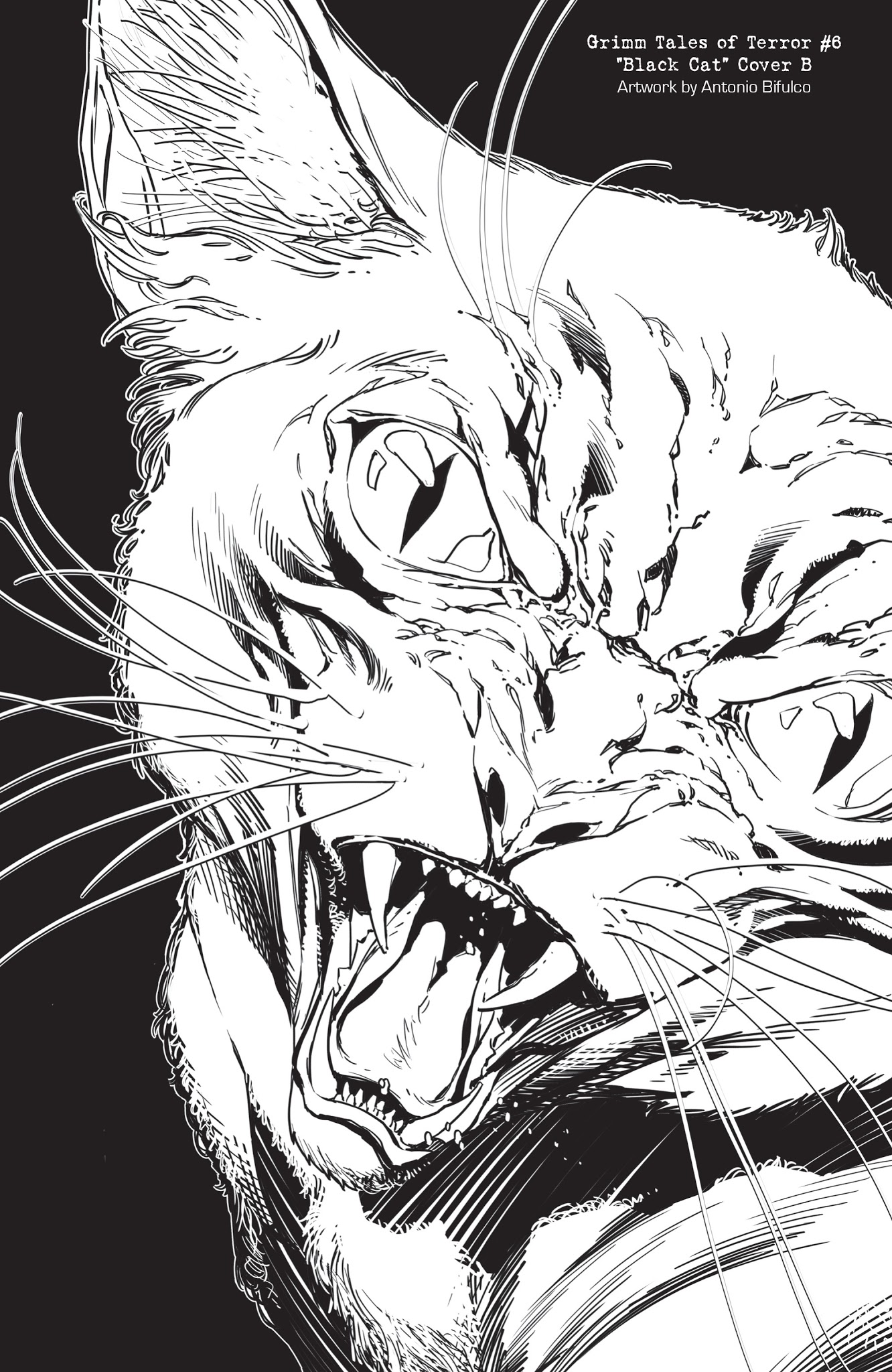 Read online Grimm Tales of Terror Black & White Special Edition comic -  Issue # Full - 38