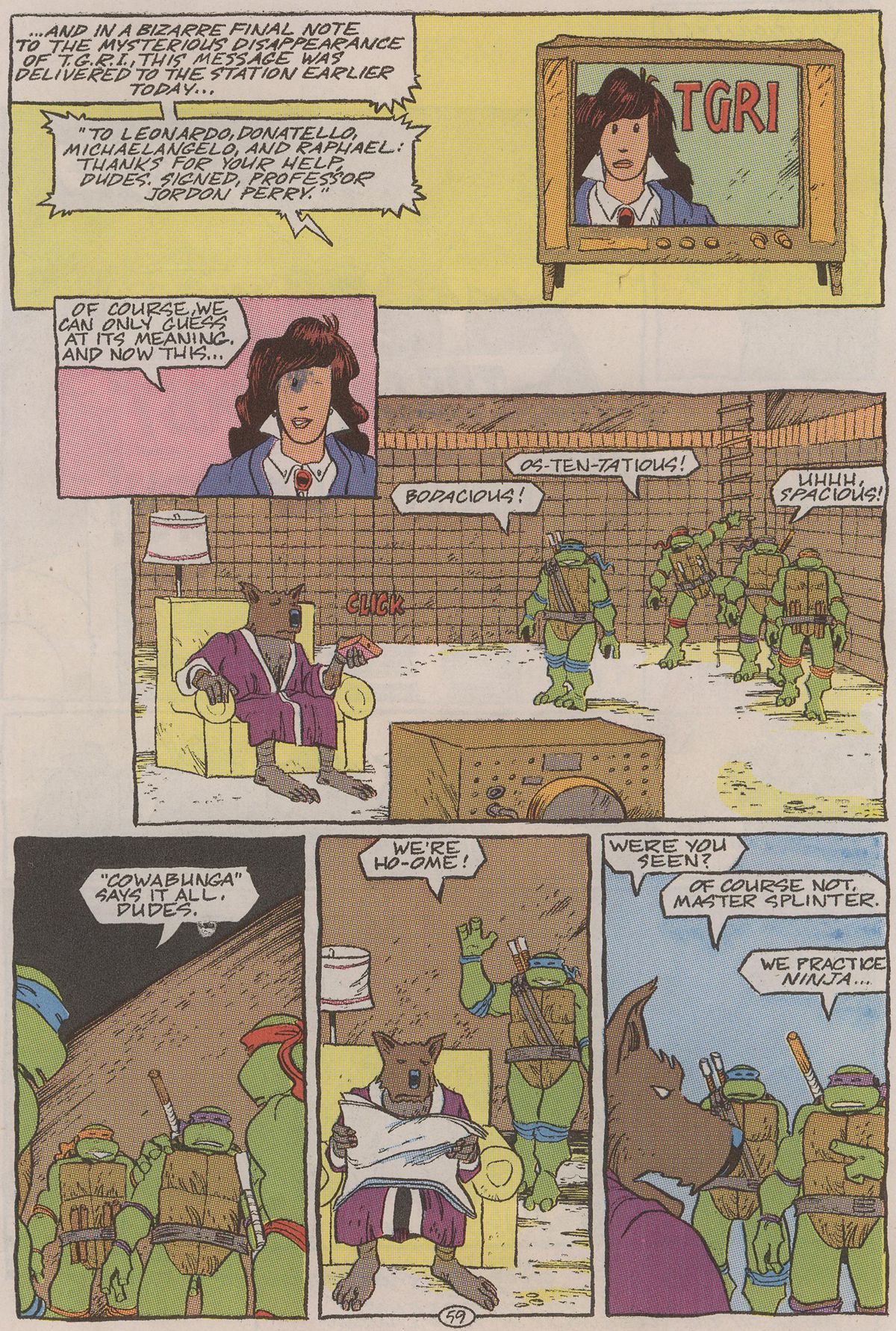 Read online Teenage Mutant Ninja Turtles II: The Secret of the Ooze Official Movie Adaptation comic -  Issue # Full - 60