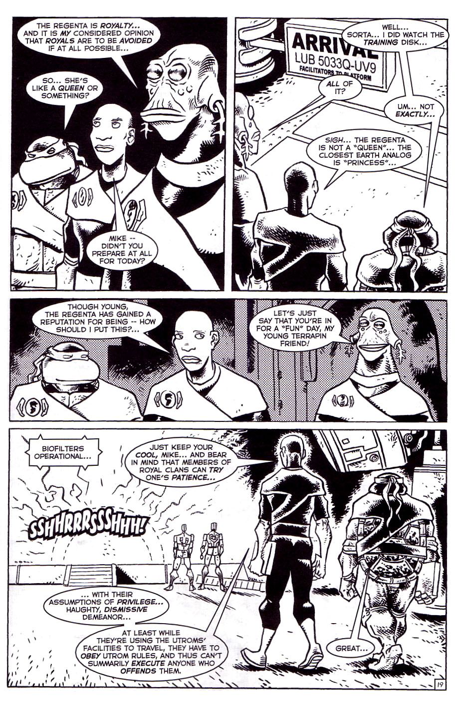 TMNT: Teenage Mutant Ninja Turtles issue 13 - Page 22