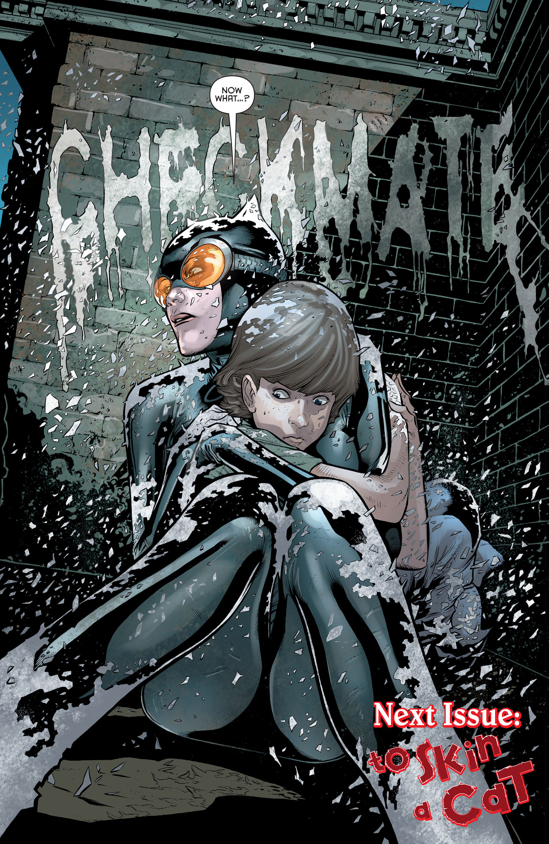 Read online Catwoman (2011) comic -  Issue #13 - 19