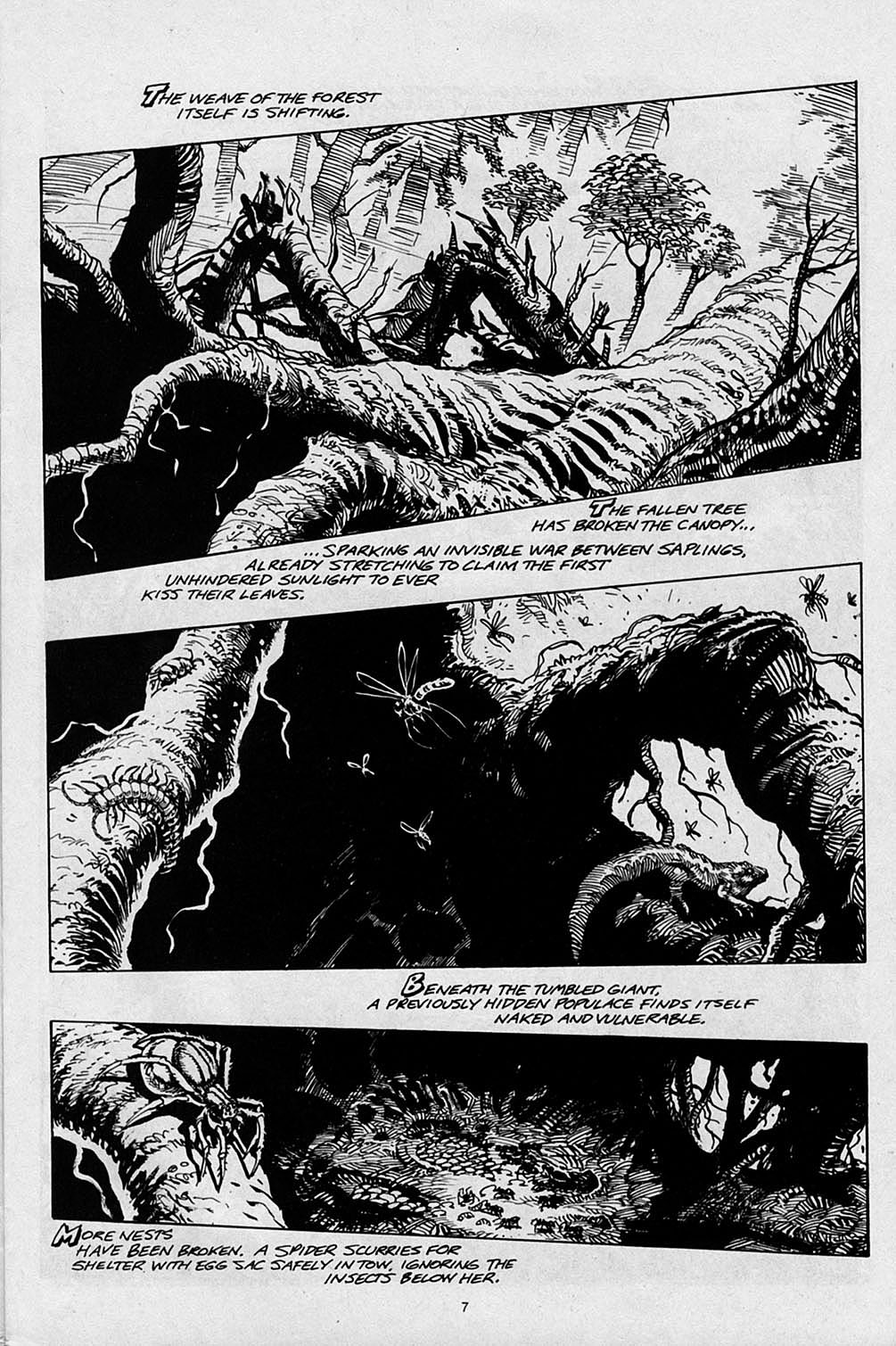 Read online S.R. Bissette's Tyrant comic -  Issue #2 - 9