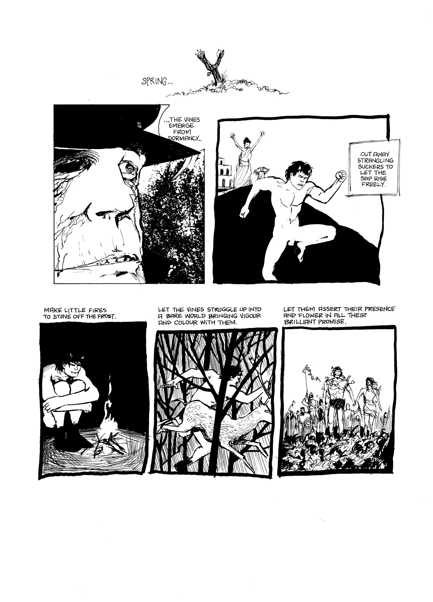 Read online Eddie Campbell's Bacchus comic -  Issue # TPB 2 - 168