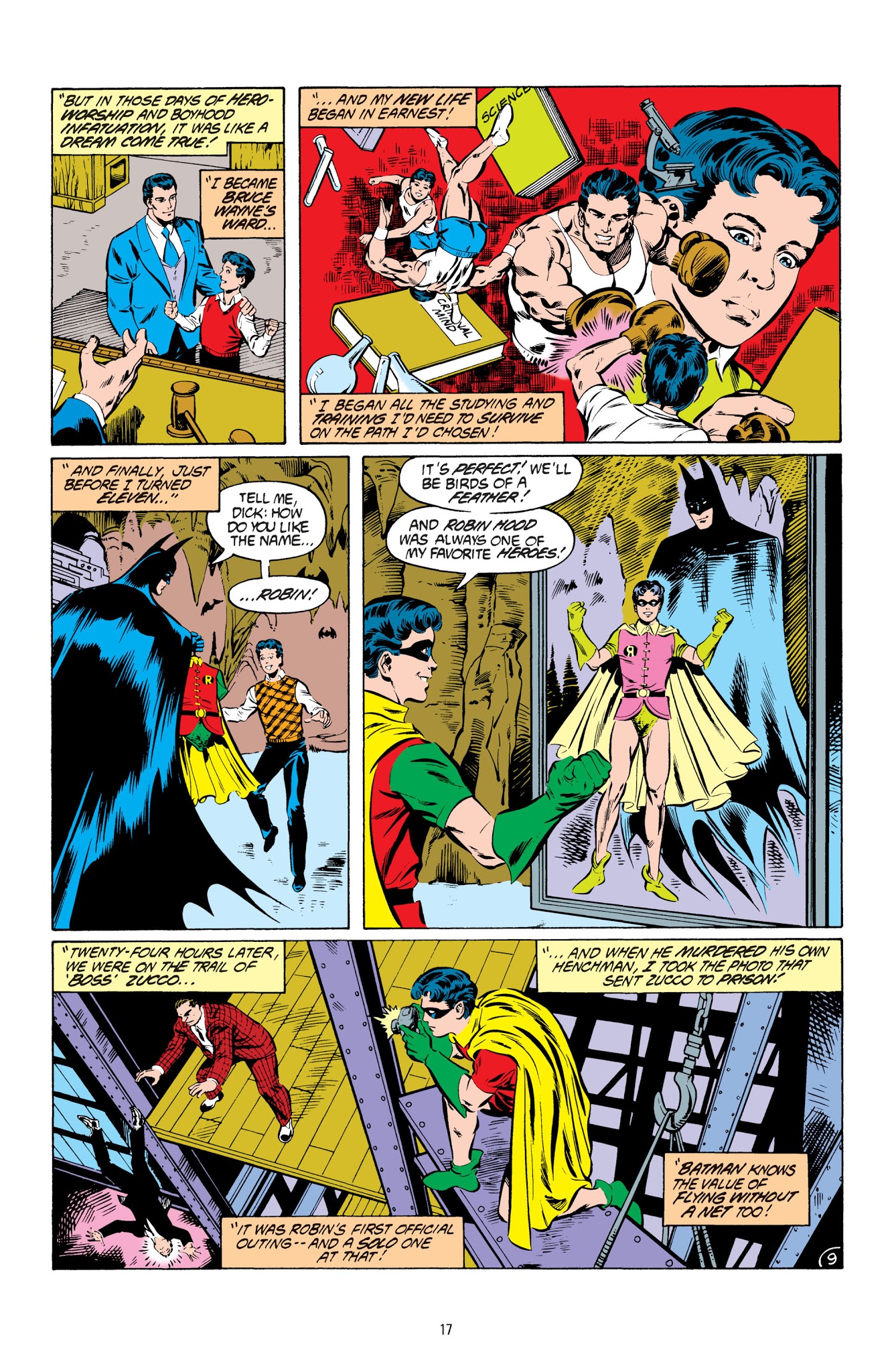 Read online Nightwing: Old Friends, New Enemies comic -  Issue # TPB - 17