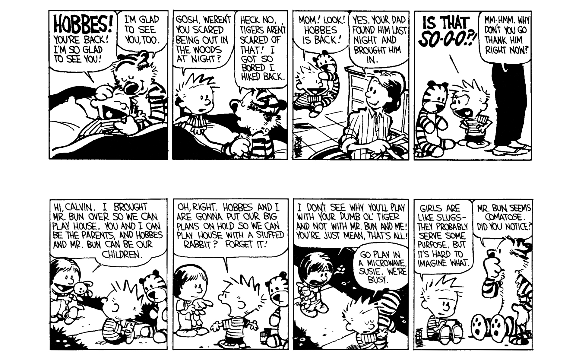 Read online Calvin and Hobbes comic -  Issue #3 - 79