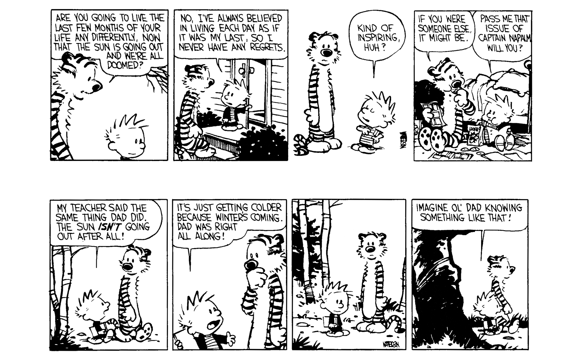 Read online Calvin and Hobbes comic -  Issue #3 - 112