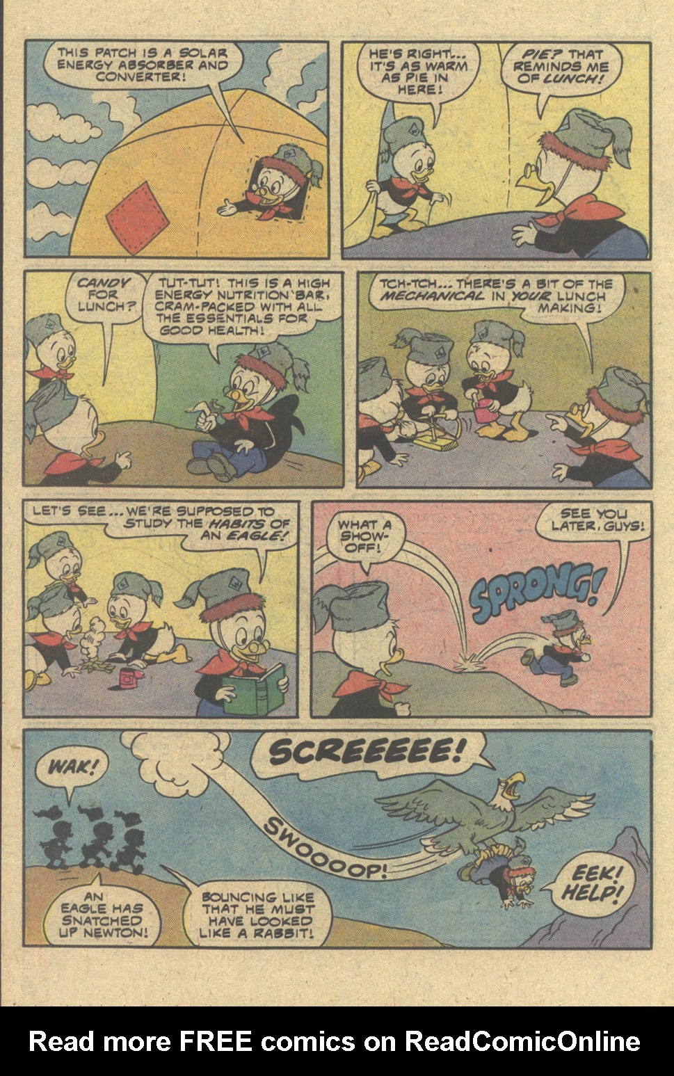 Read online Huey, Dewey, and Louie Junior Woodchucks comic -  Issue #50 - 22