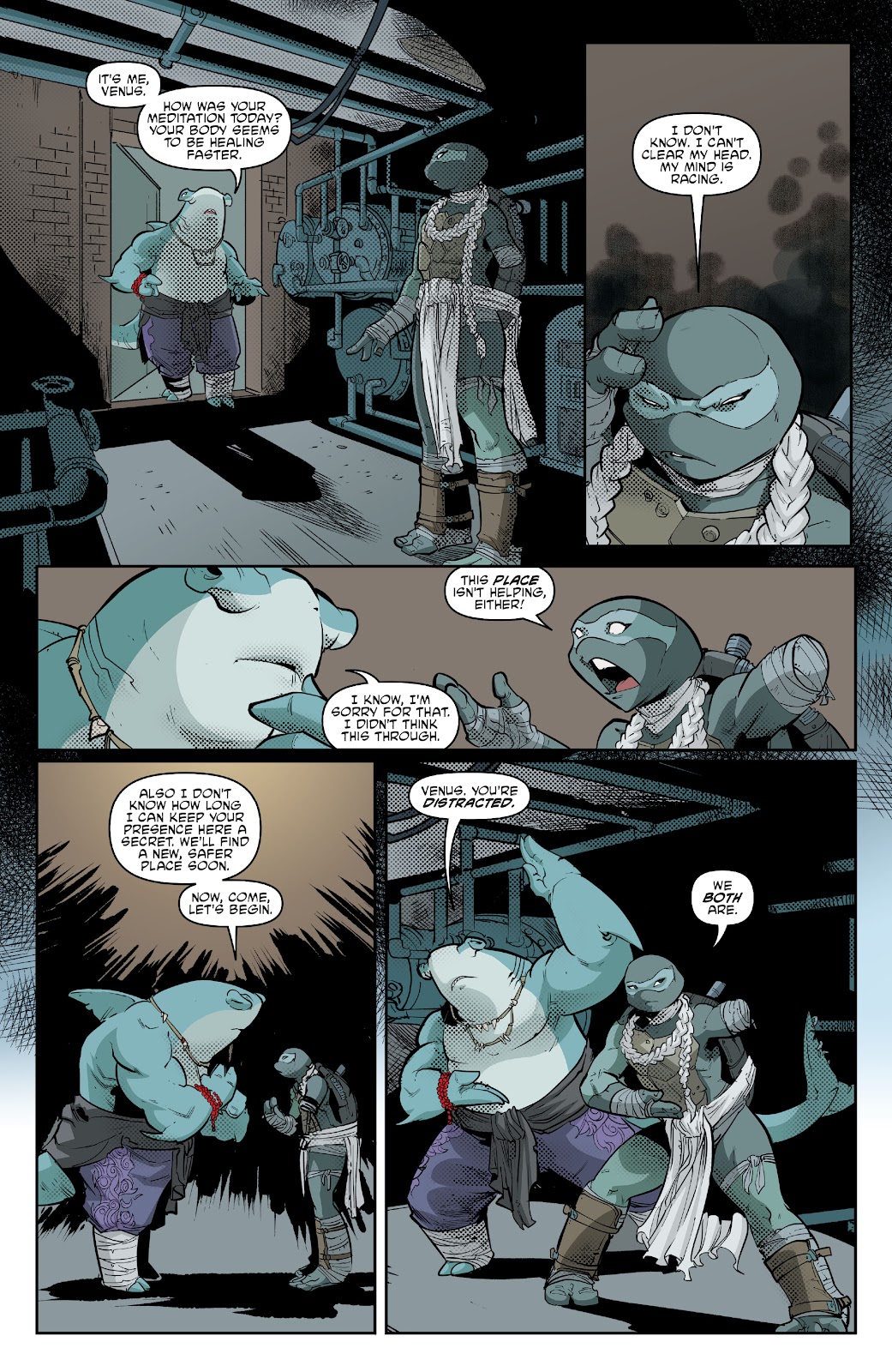 Teenage Mutant Ninja Turtles (2011) issue 133 - Page 14