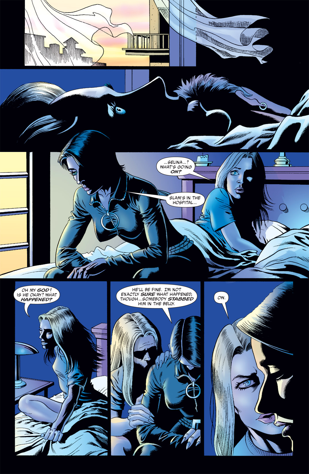 Read online Catwoman (2002) comic -  Issue #27 - 9