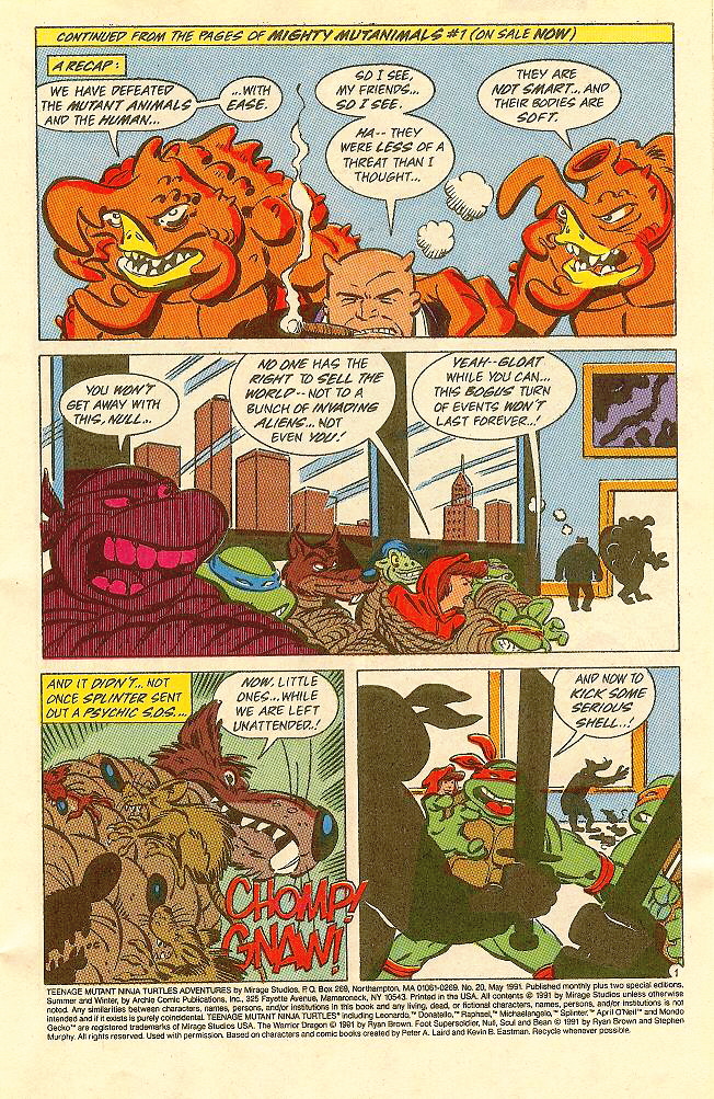 Teenage Mutant Ninja Turtles Adventures (1989) issue 20 - Page 2