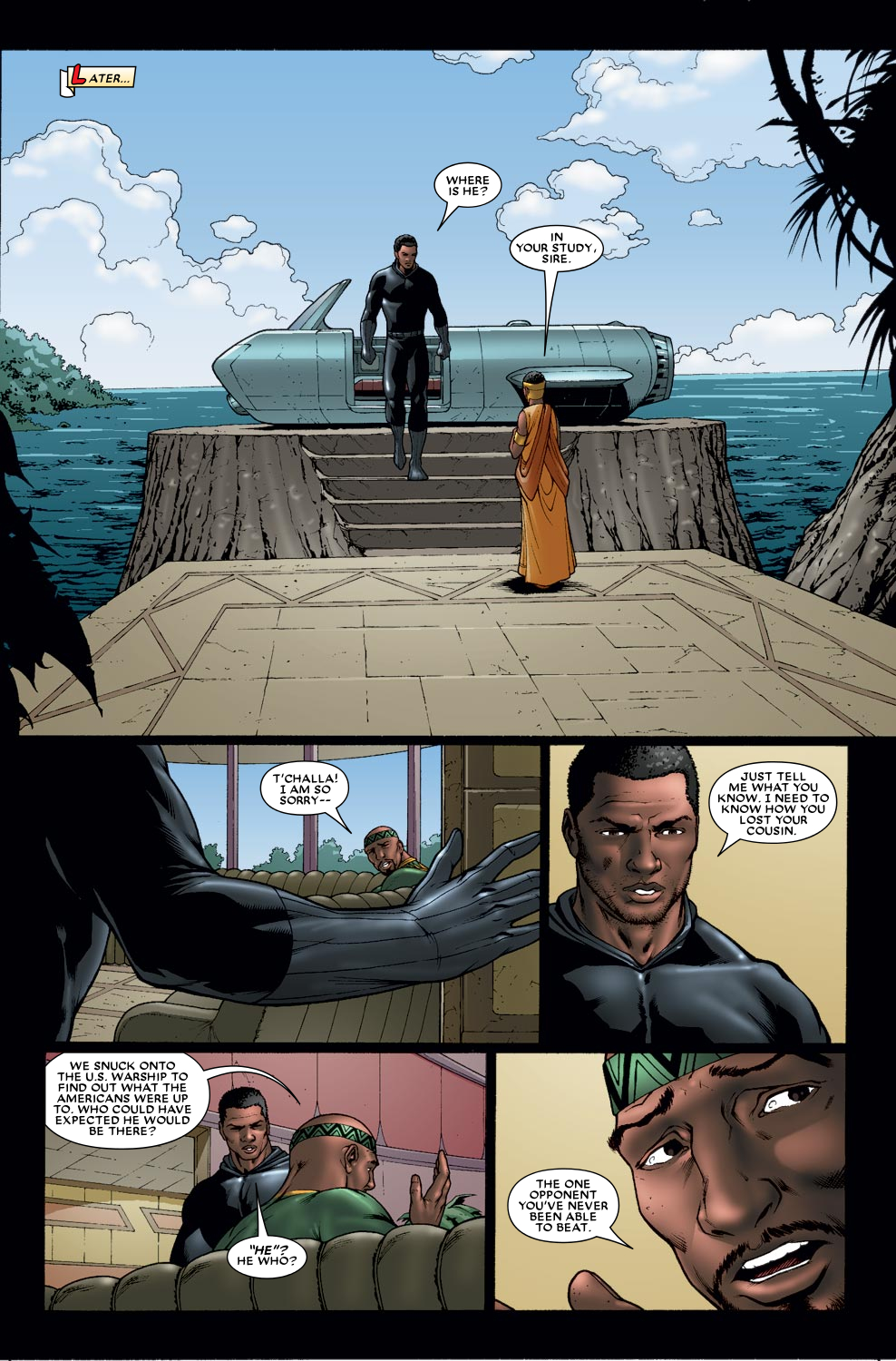 Read online Black Panther (2005) comic -  Issue #35 - 9