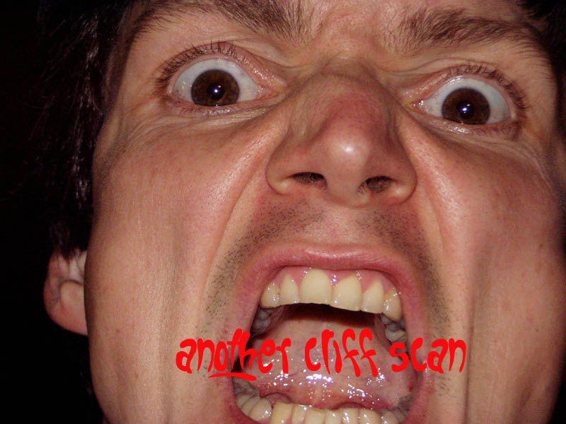 Read online Walt Disney's Donald Duck and Friends comic -  Issue #329 - 37