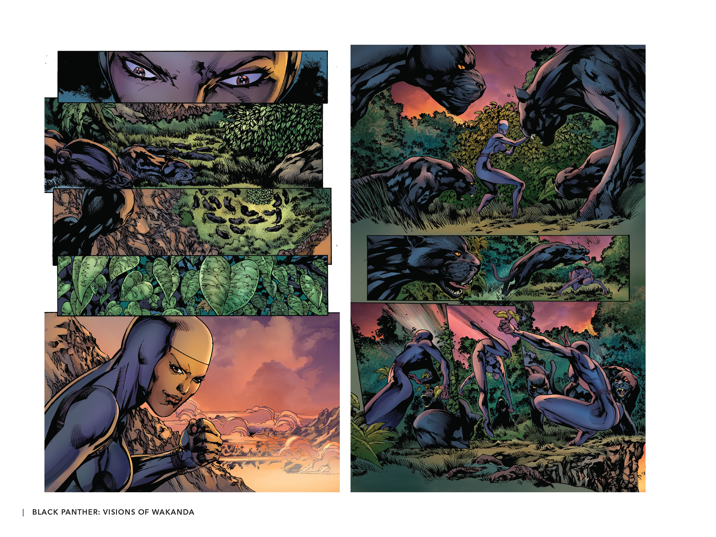 Read online Black Panther: Visions of Wakanda comic -  Issue # TPB (Part 3) - 22