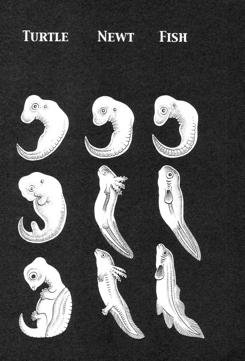 Read online Lullabies From Hell comic -  Issue # TPB (Part 1) - 50