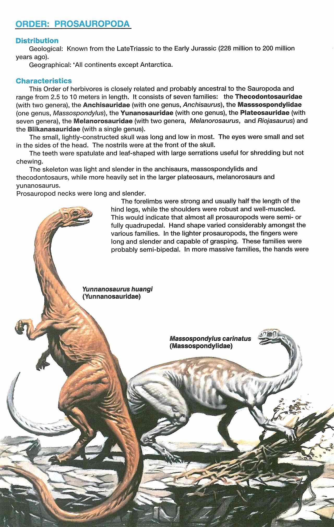 Read online Dinosaurs, A Celebration comic -  Issue #2 - 26
