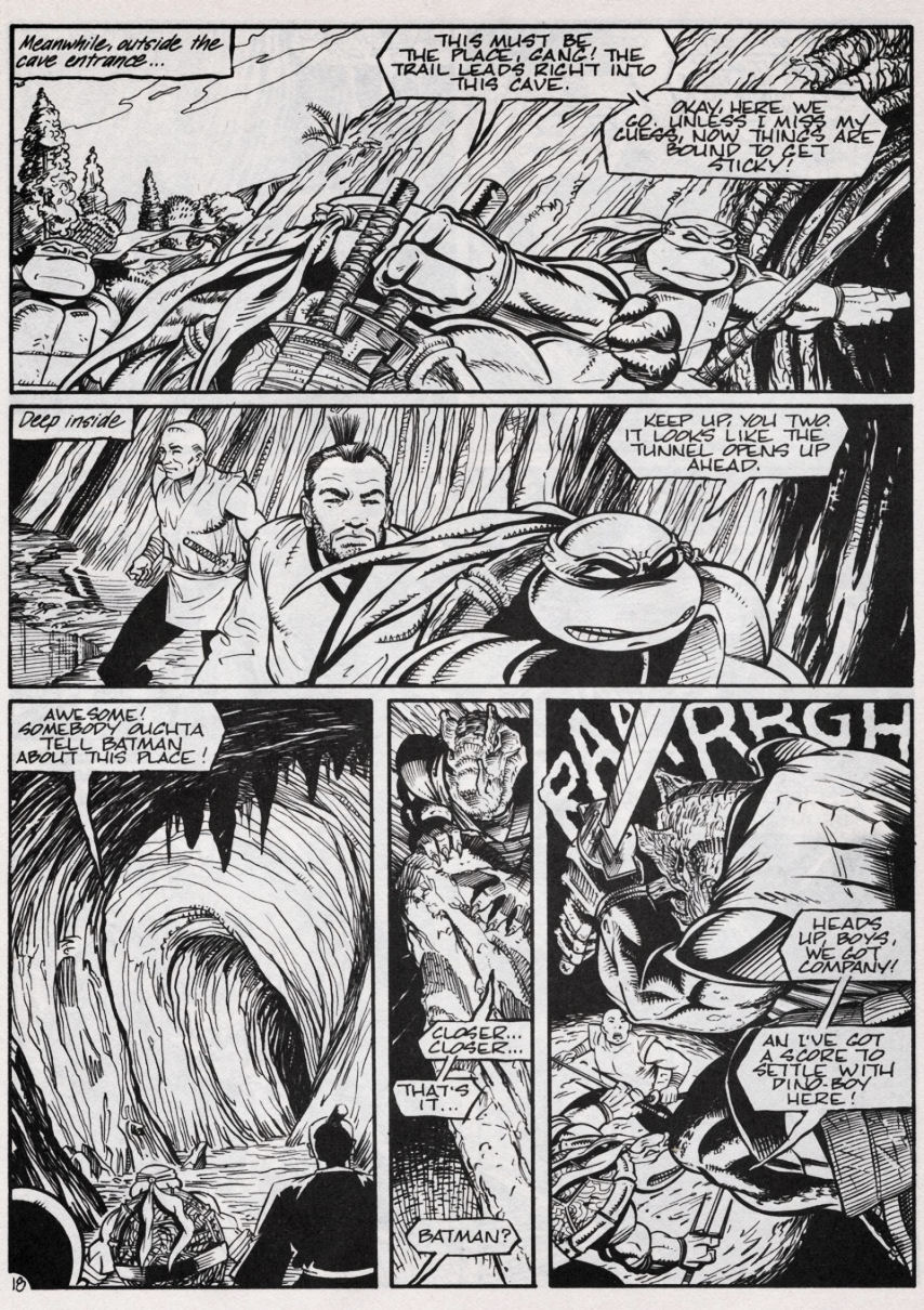 Teenage Mutant Ninja Turtles (1984) Issue #47 #47 - English 19