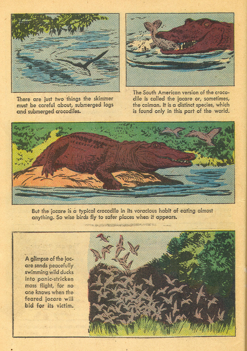 Read online Four Color Comics comic -  Issue #1136 - 10