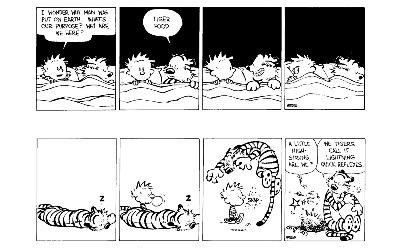 Calvin and Hobbes issue 6 - Page 40