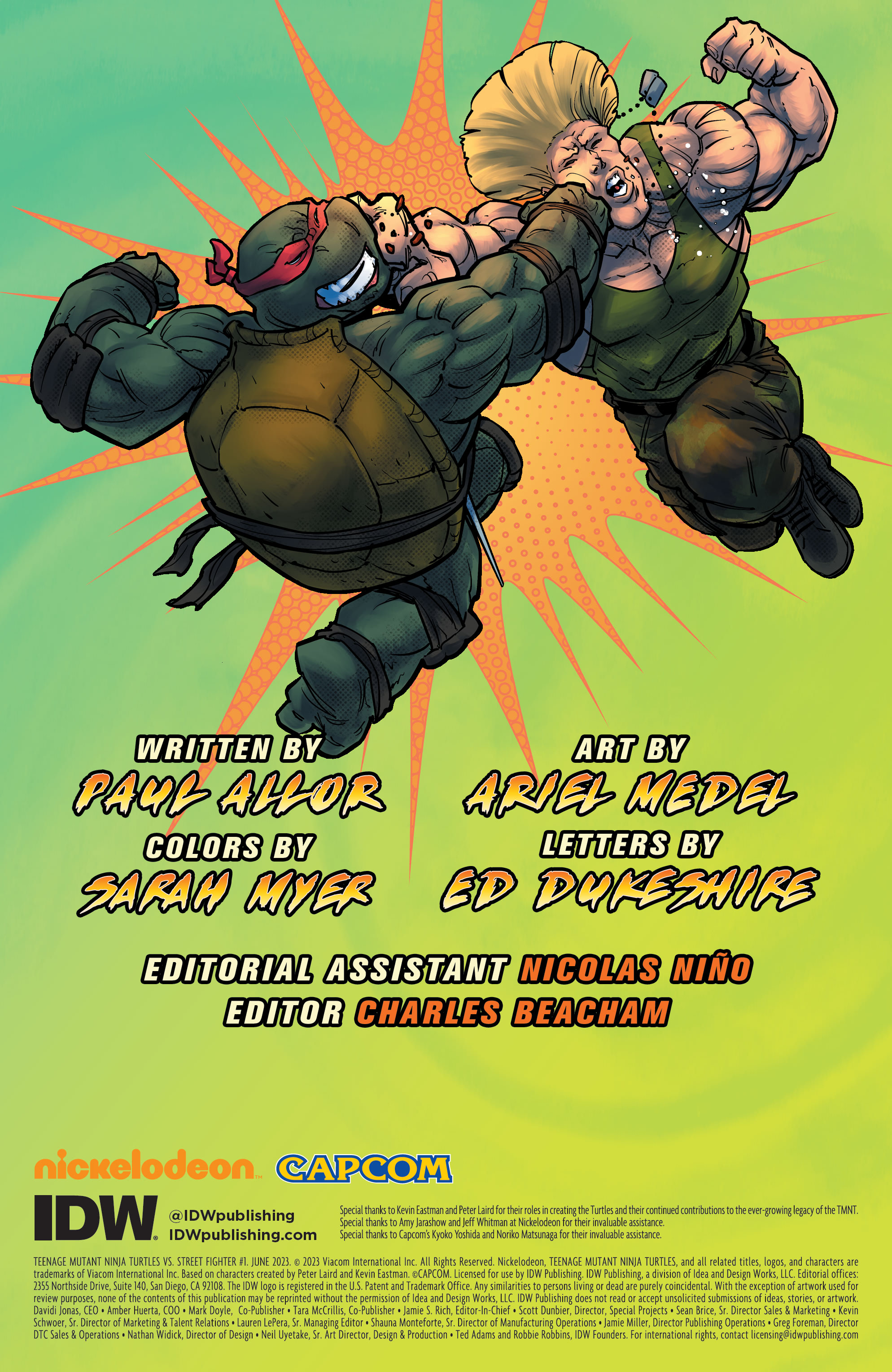 Read online Teenage Mutant Ninja Turtles vs. Street Fighter comic -  Issue #1 - 2