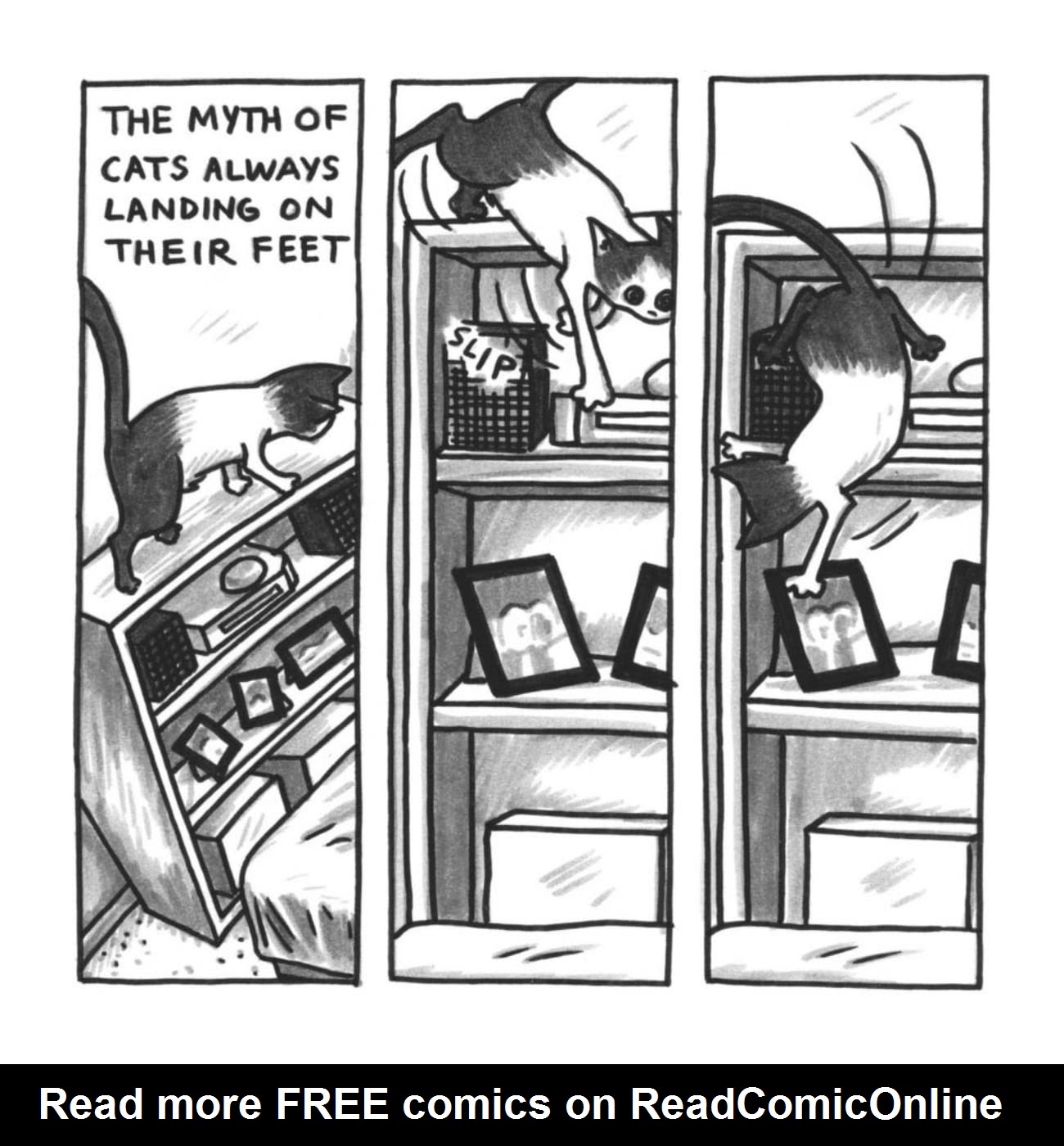 Read online Cats are Weird and More Observations comic -  Issue # TPB - 13