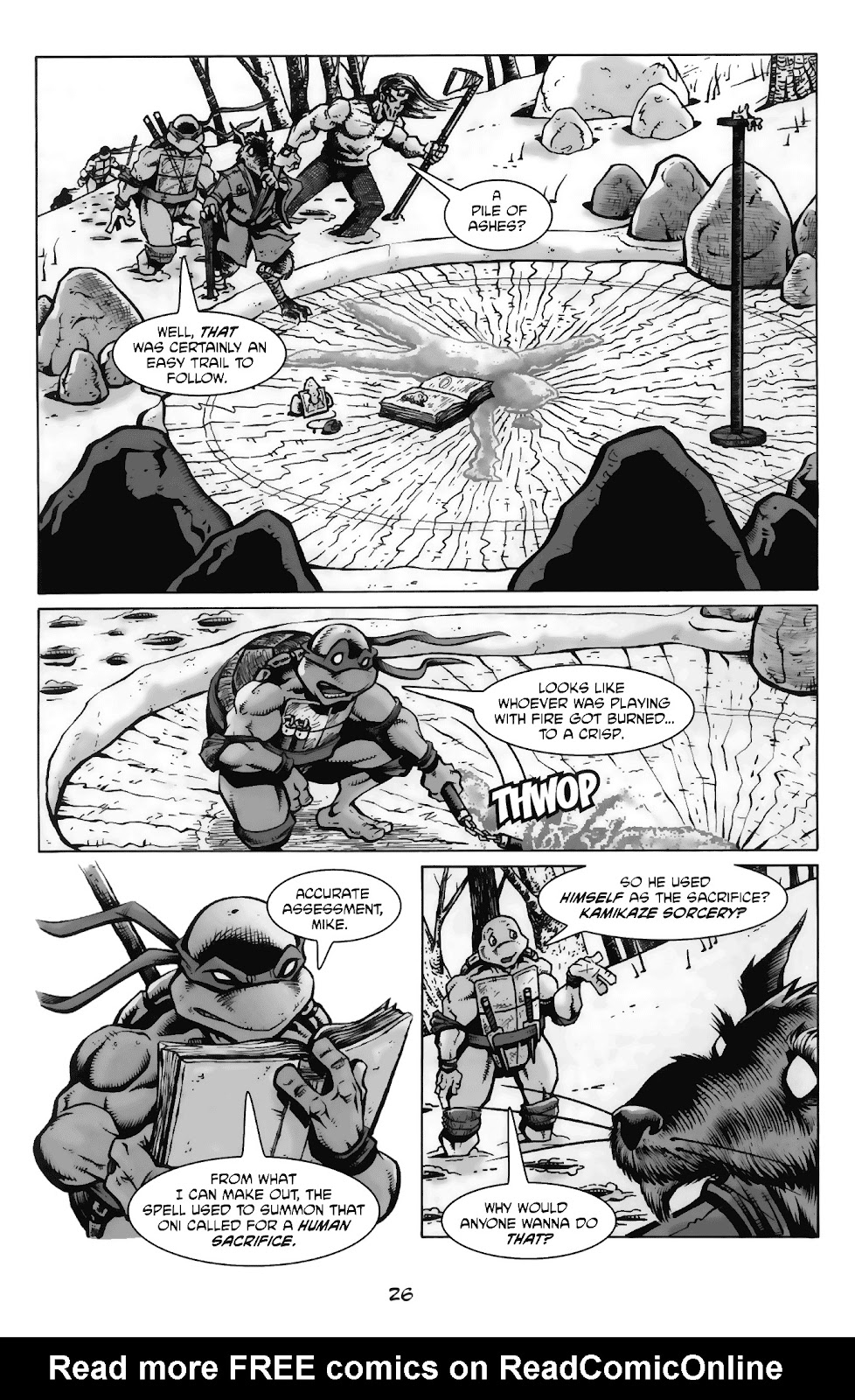Tales of the TMNT issue 65 - Page 29