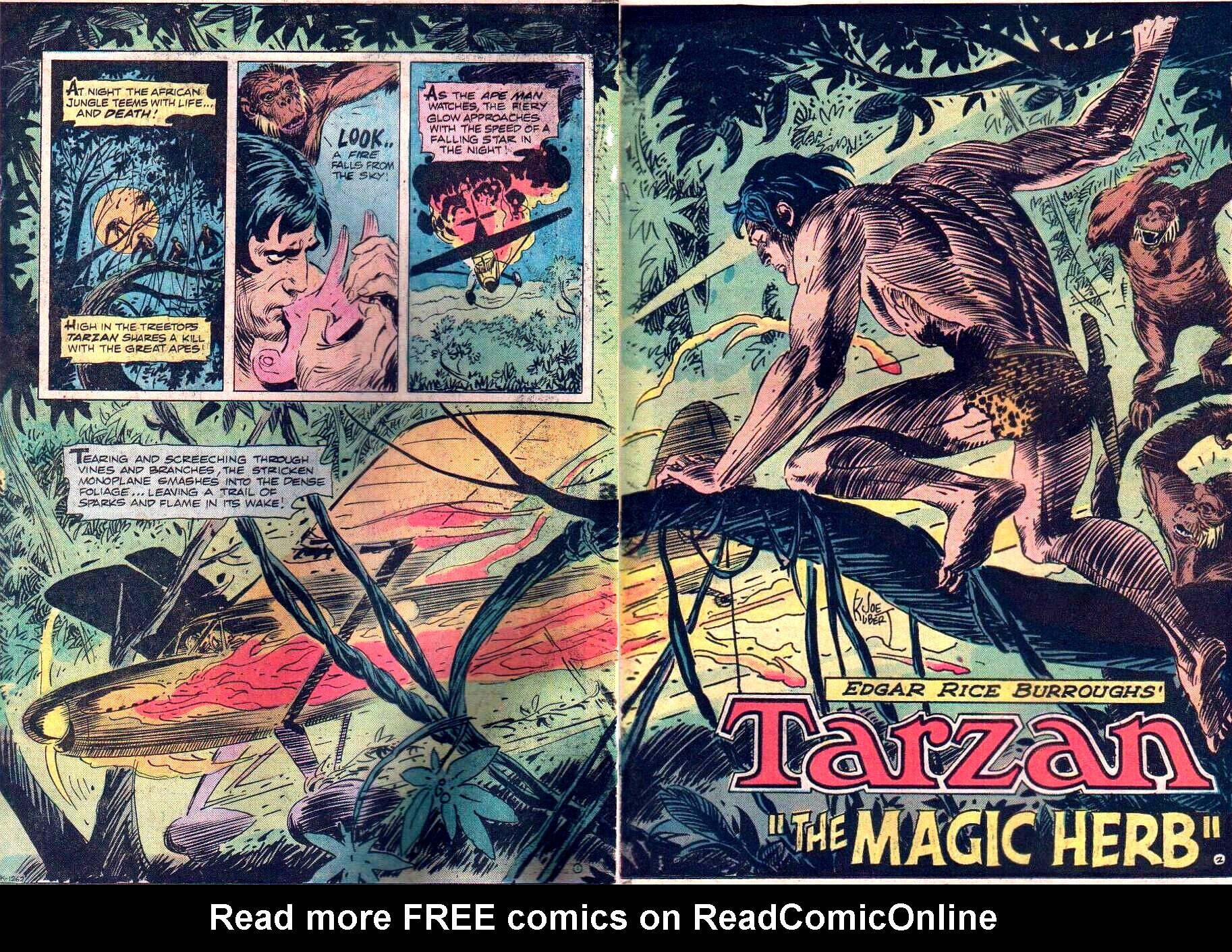 Read online Tarzan (1972) comic -  Issue #235 - 5