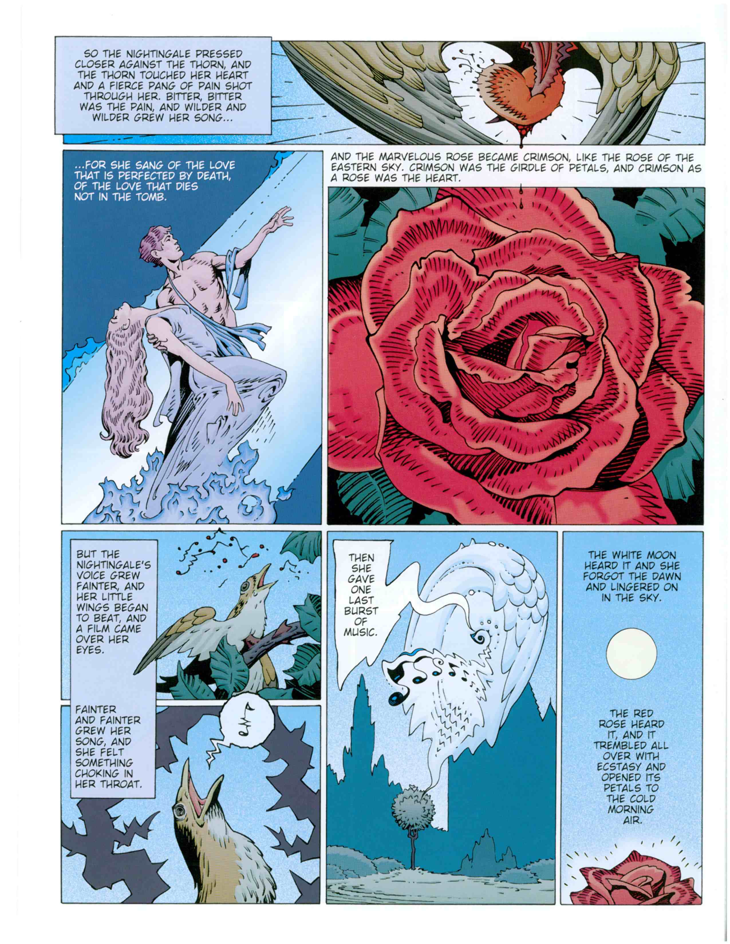 Read online Fairy Tales of Oscar Wilde comic -  Issue #4 - 29